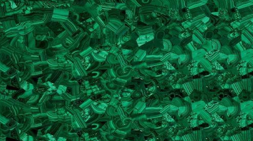 A close up of a green background with a lot of green objects.