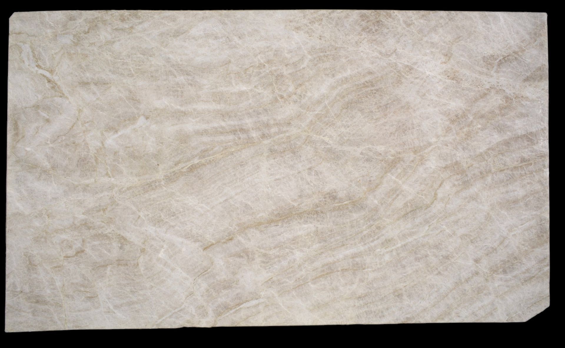 A close up of a piece of paper on a black background.