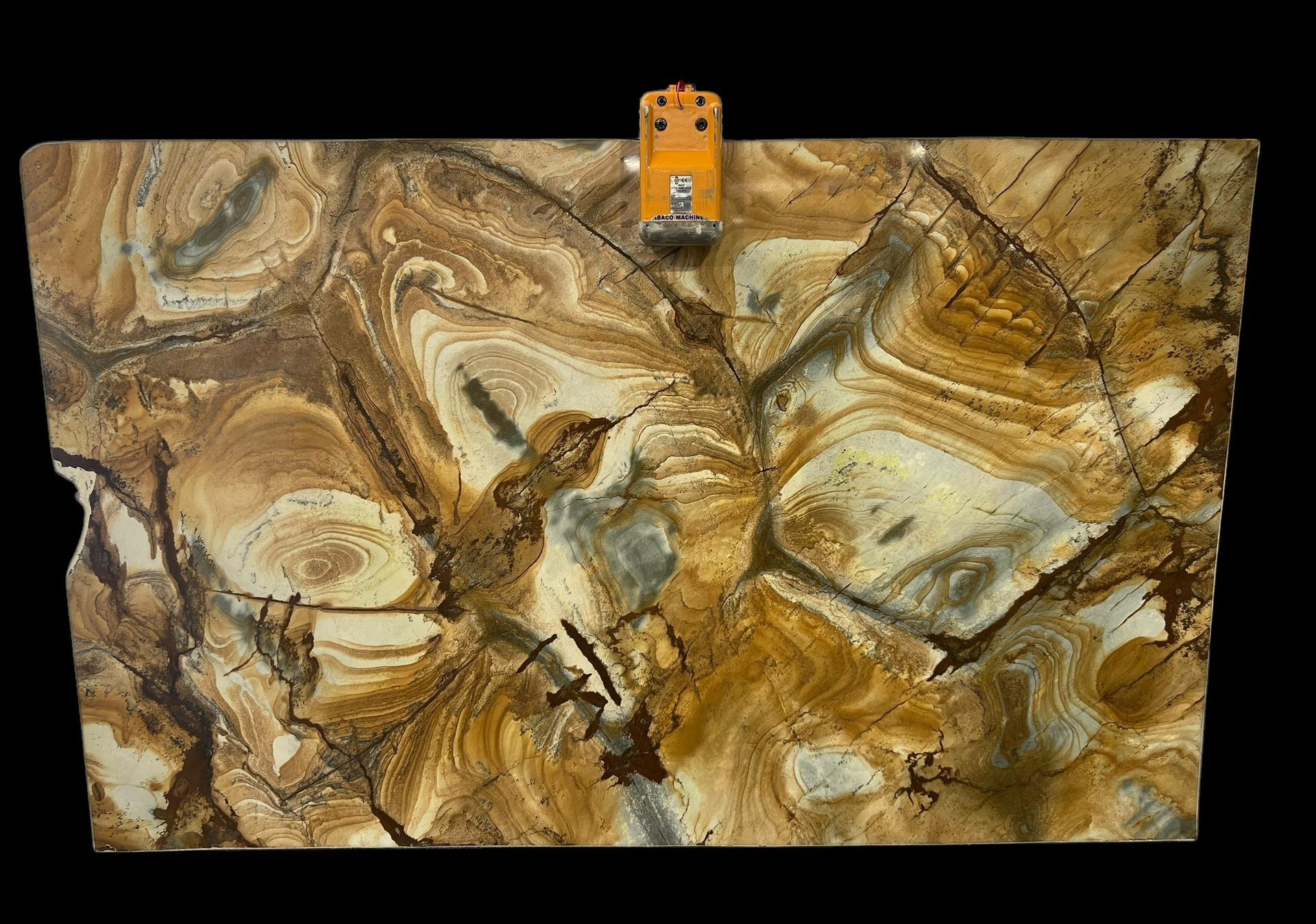 Palomino Quartzite slab