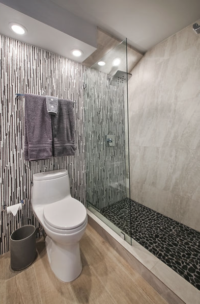 A bathroom with a toilet and a walk in shower