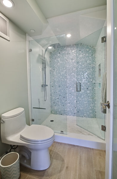 A bathroom with a toilet and a walk in shower.