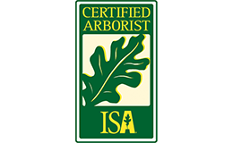 Certified Arborist