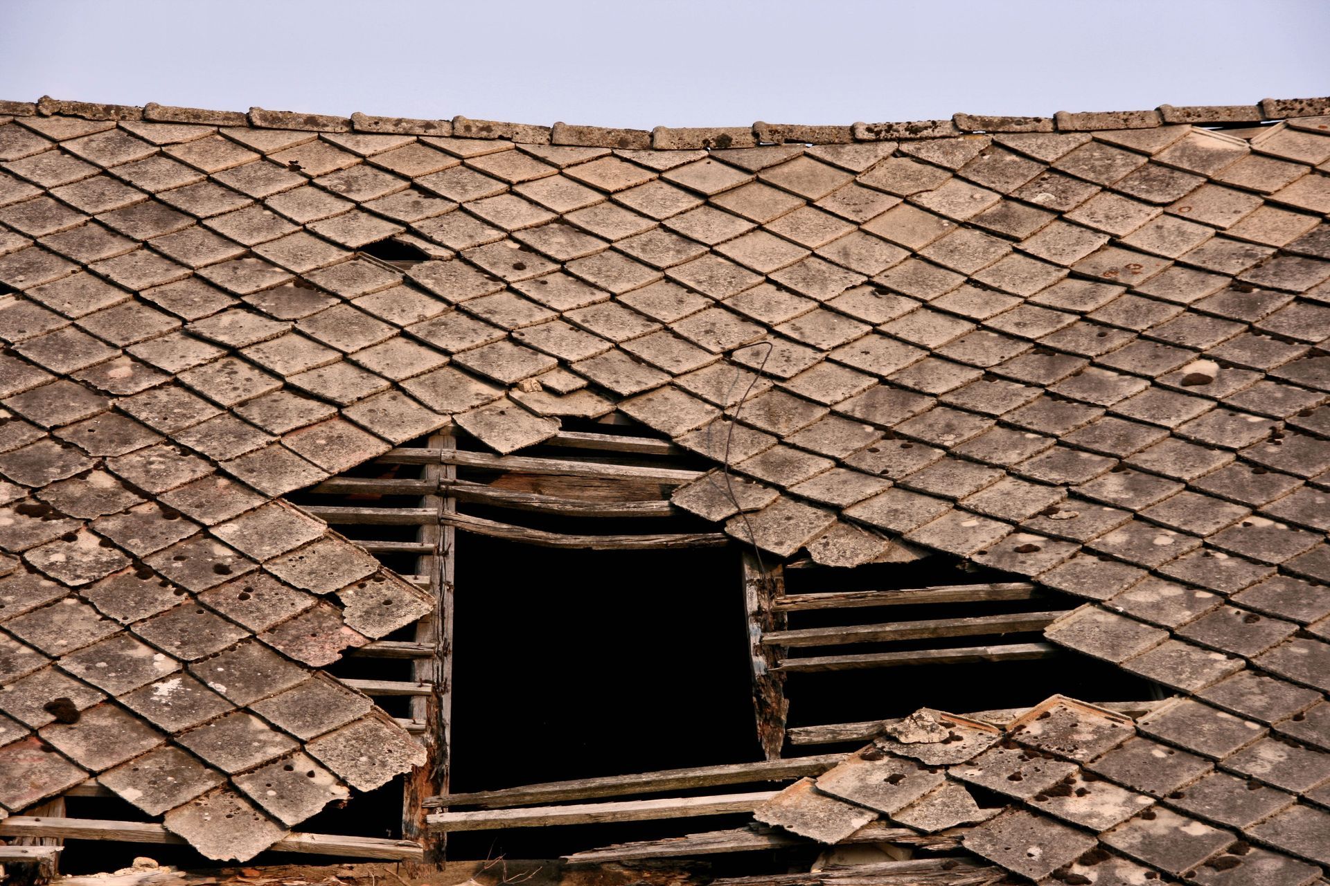 insurance appraisal