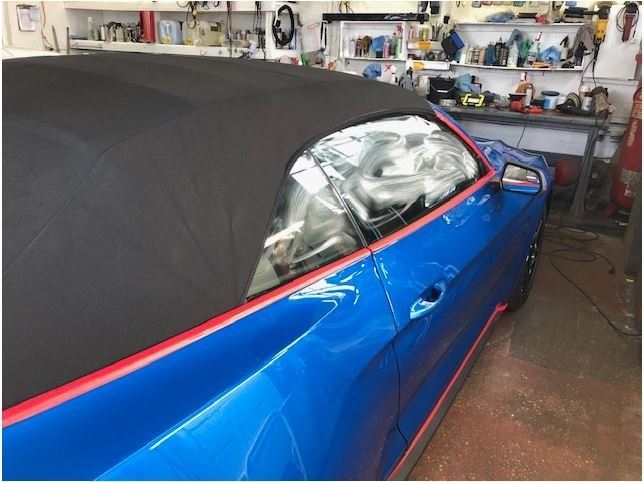 blue mustang paint correction project