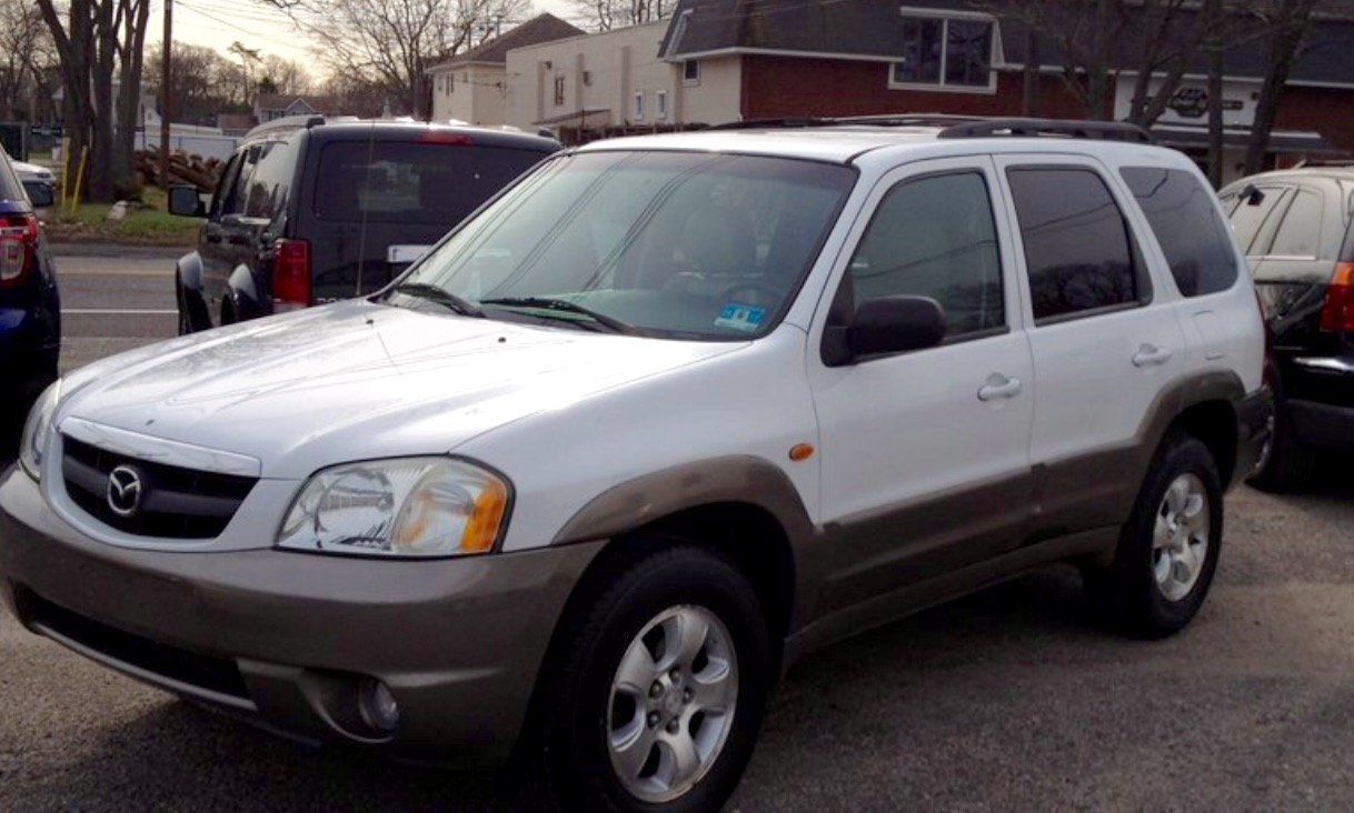 Paint correction project