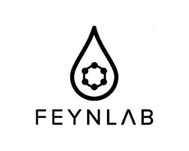 Feynlab