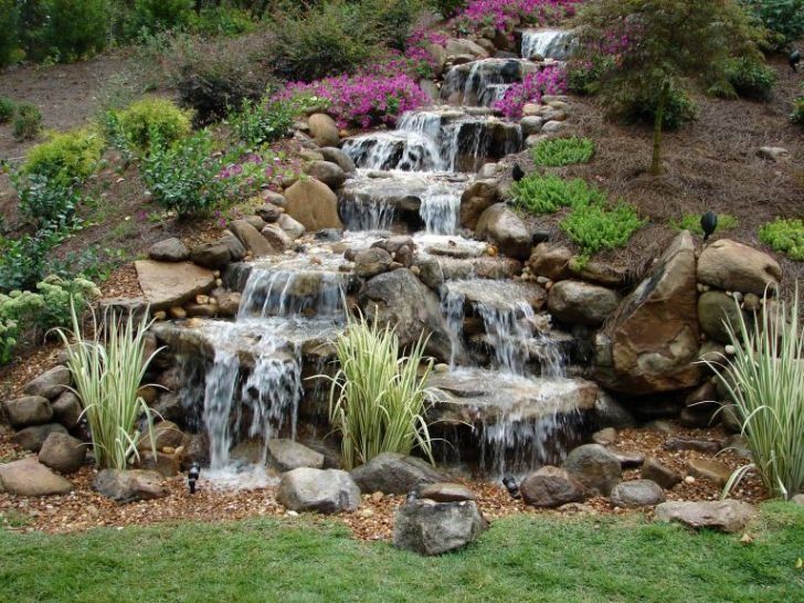 pond | waterfall  | evergreen shrubs