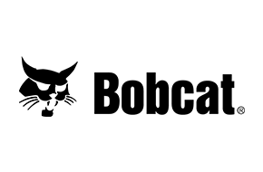 Bobcat