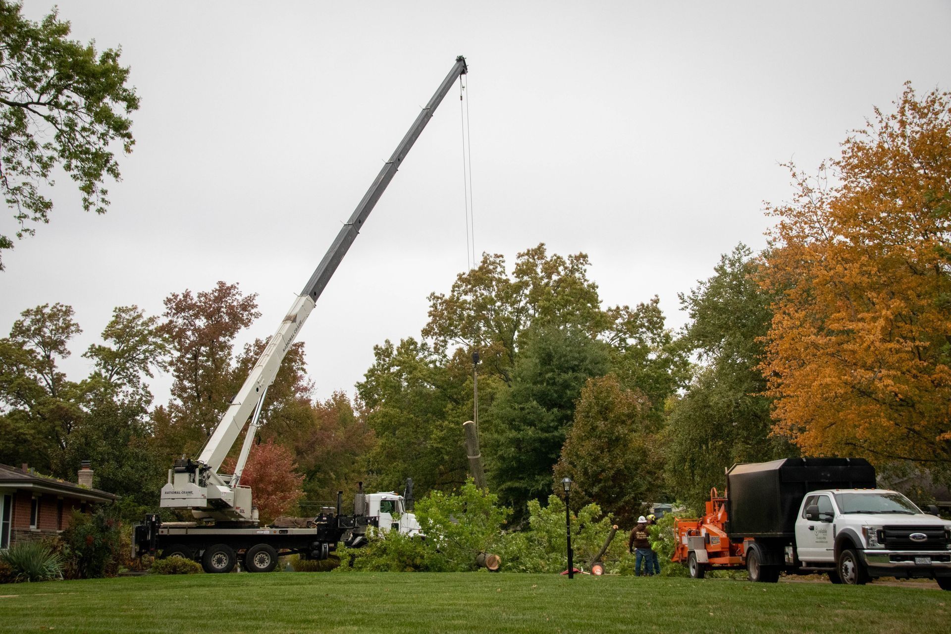 A crane removing a tree from a lawn on a cloudy day, with a truck and wood chipper nearby.