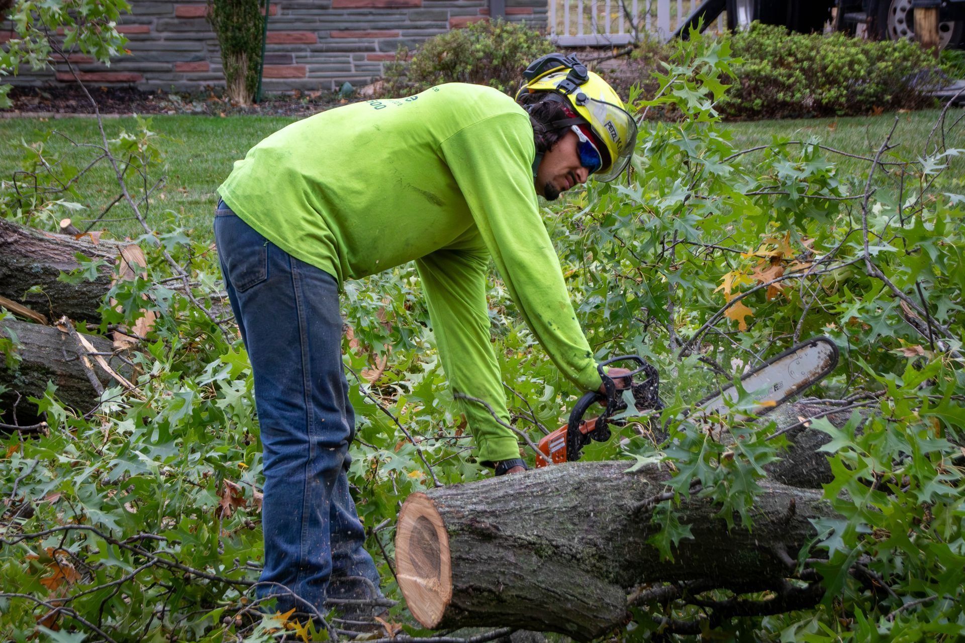 Arborist in yellow shirt and helmet uses chainsaw to cut log in a yard.