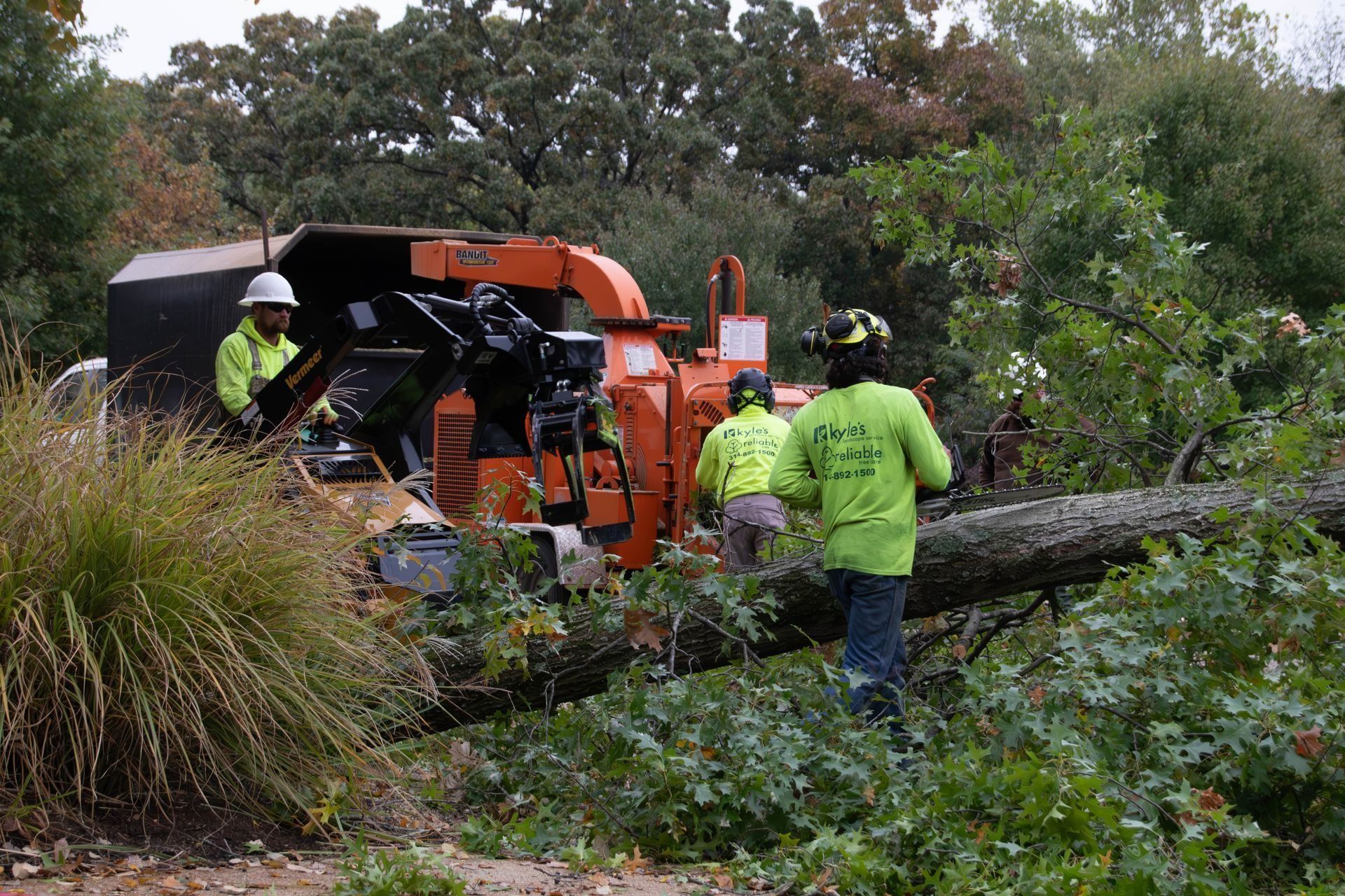 Three workers in safety gear operating a wood chipper. Large tree trunk on ground, wooded setting.