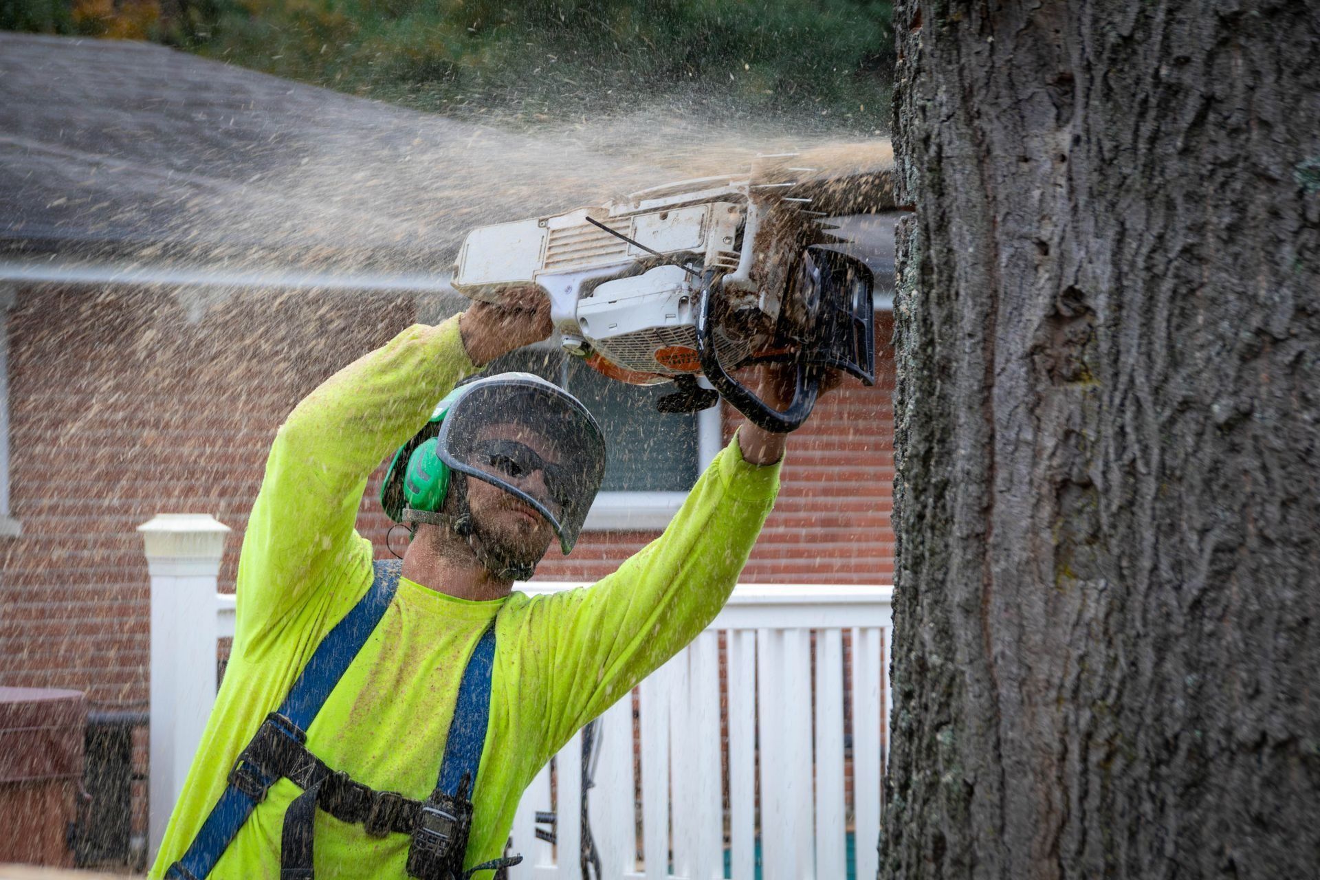 Arborist using chainsaw to cut a tree, creating sawdust. Wearing safety gear; neon yellow shirt, hard hat, and harness.