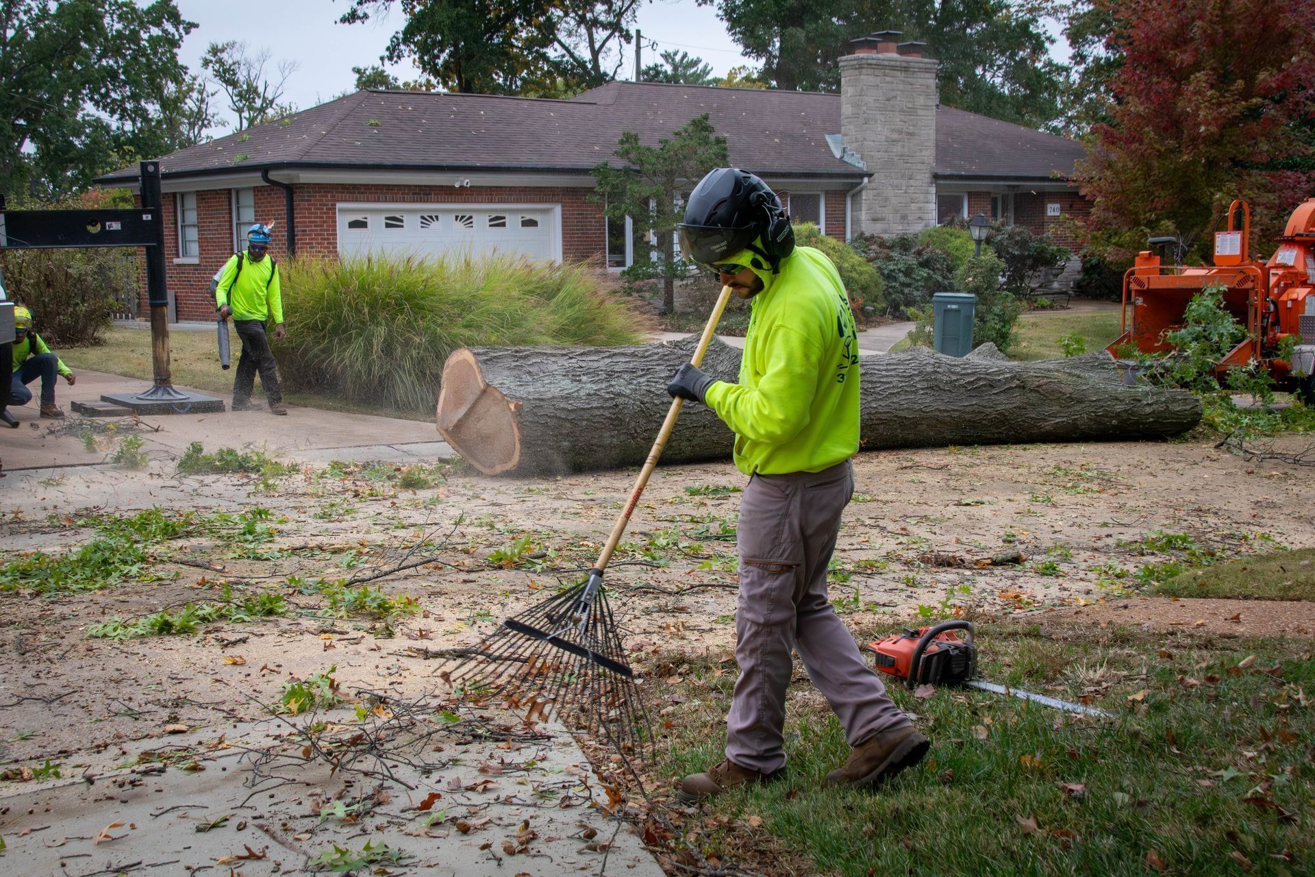 Tree service worker raking wood chips near a fallen tree in front of a house; other workers nearby.