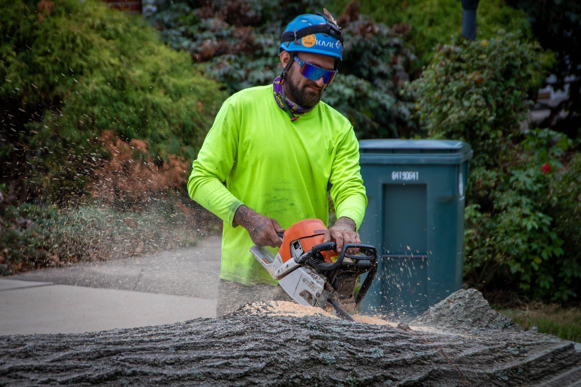 Arborist cutting a log with a chainsaw outdoors; wearing safety gear, bright green shirt.
