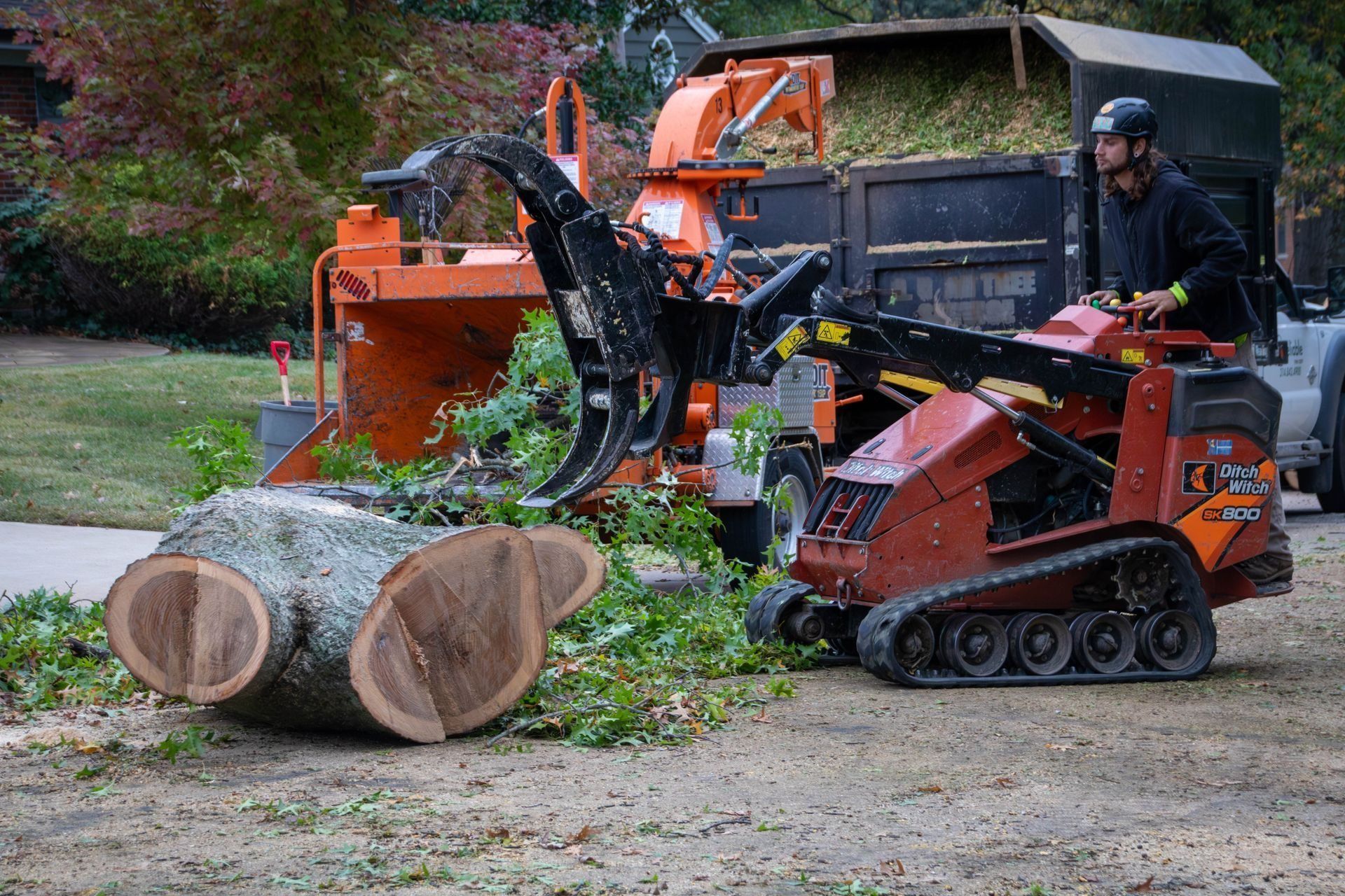 Man operating a mini-skid steer loader, feeding tree branches into a wood chipper.