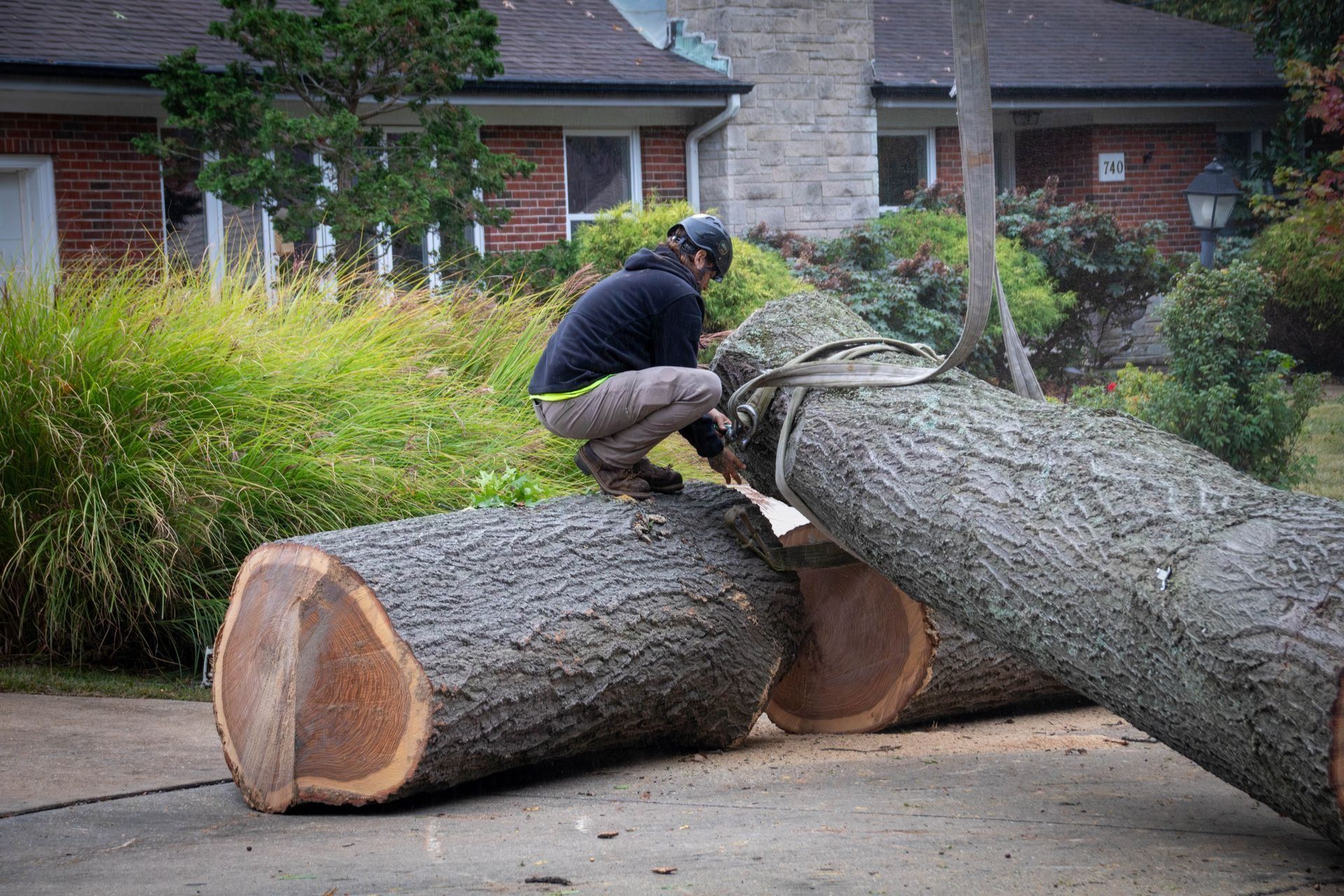 Person sawing logs on a driveway near a house. Three large, cut tree trunks are visible.