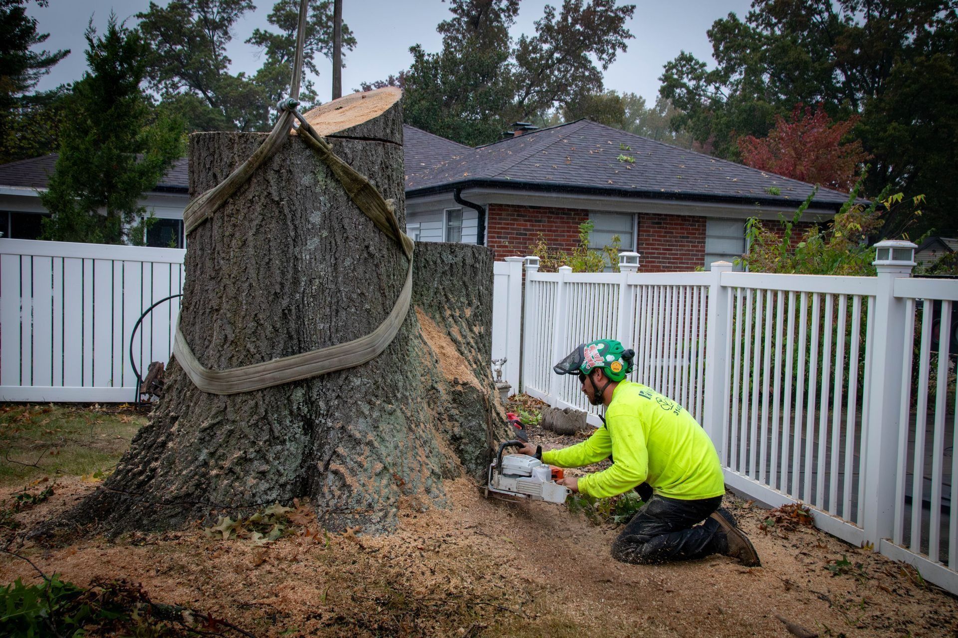 Tree worker using a chainsaw to cut a large tree stump next to a white fence. Green shirt, helmet, kneeling.