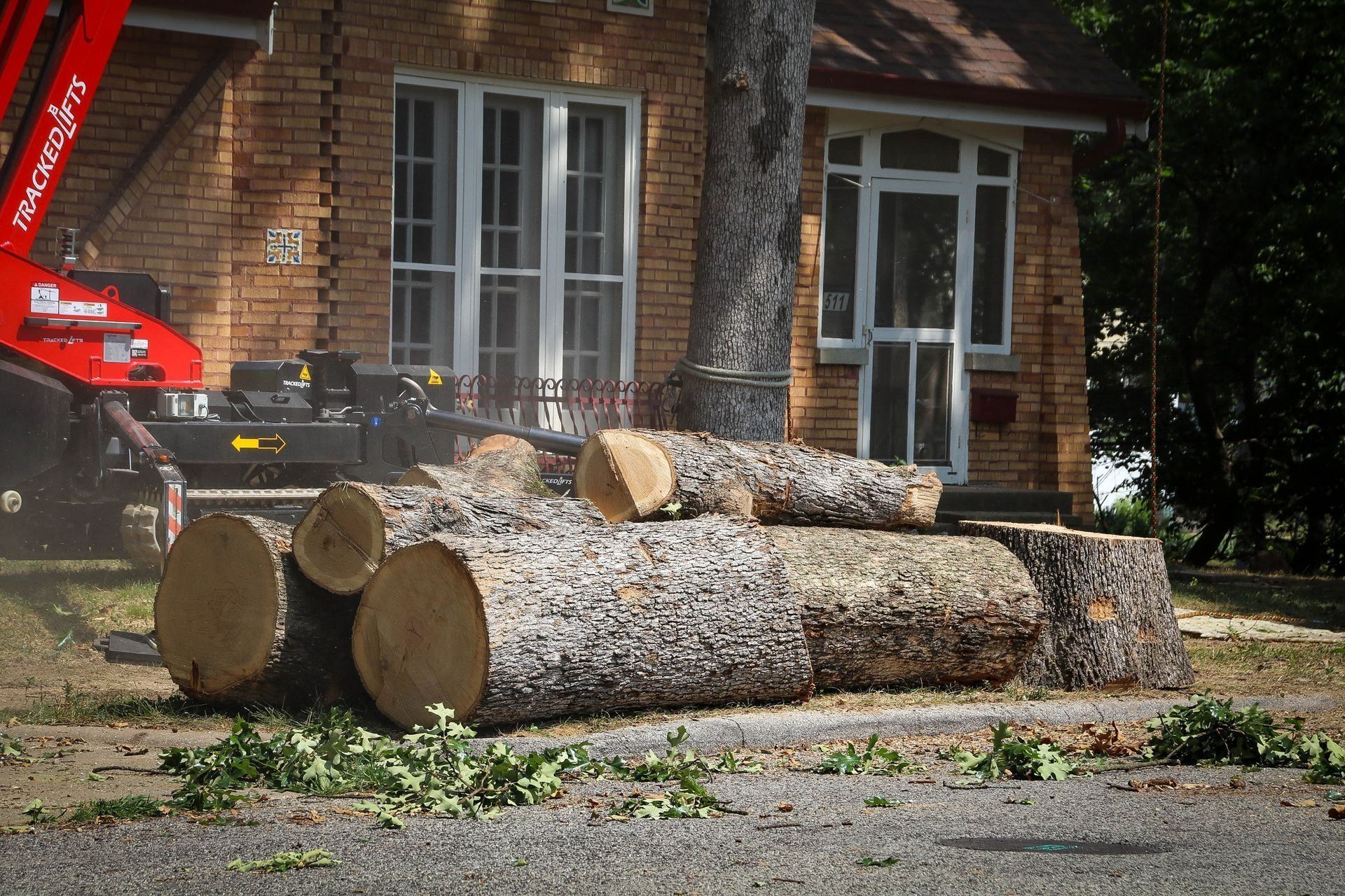 Logs from a recently cut tree lie in front of a brick house; a red machine is visible.