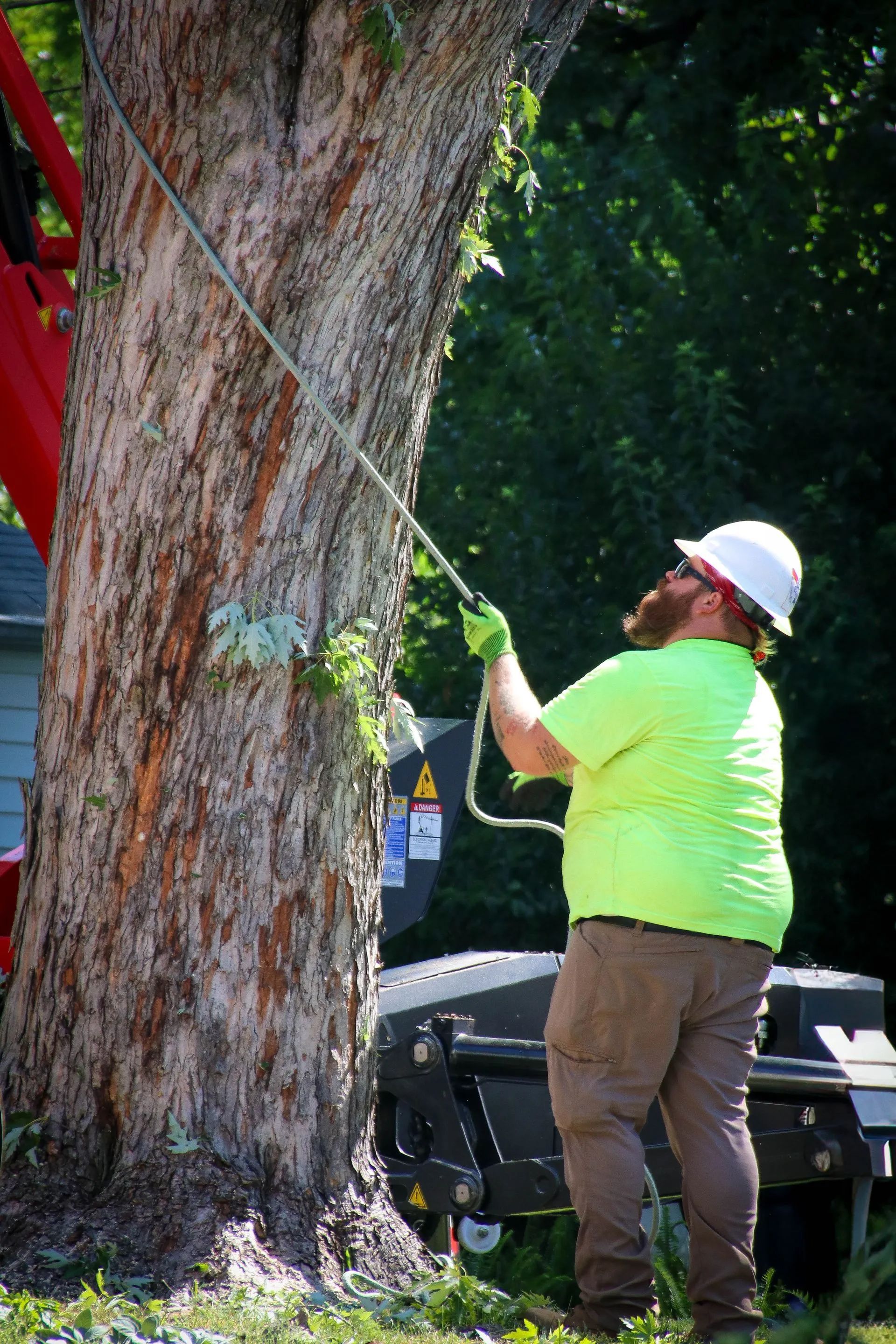 Arborist in a white hard hat and neon green shirt trims a tree with a pole saw.