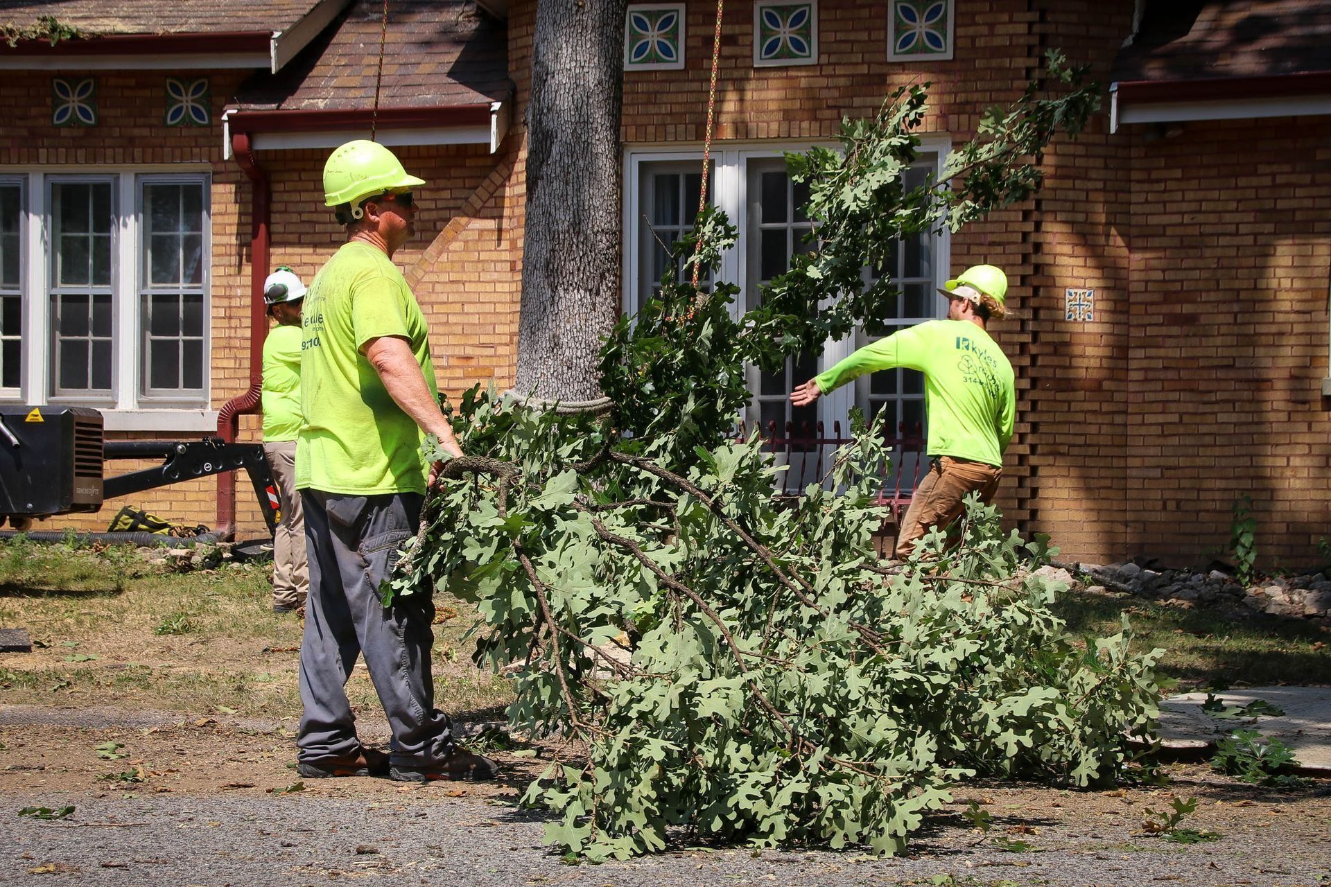 Three people in lime green shirts and hard hats moving tree branches near a brick building.
