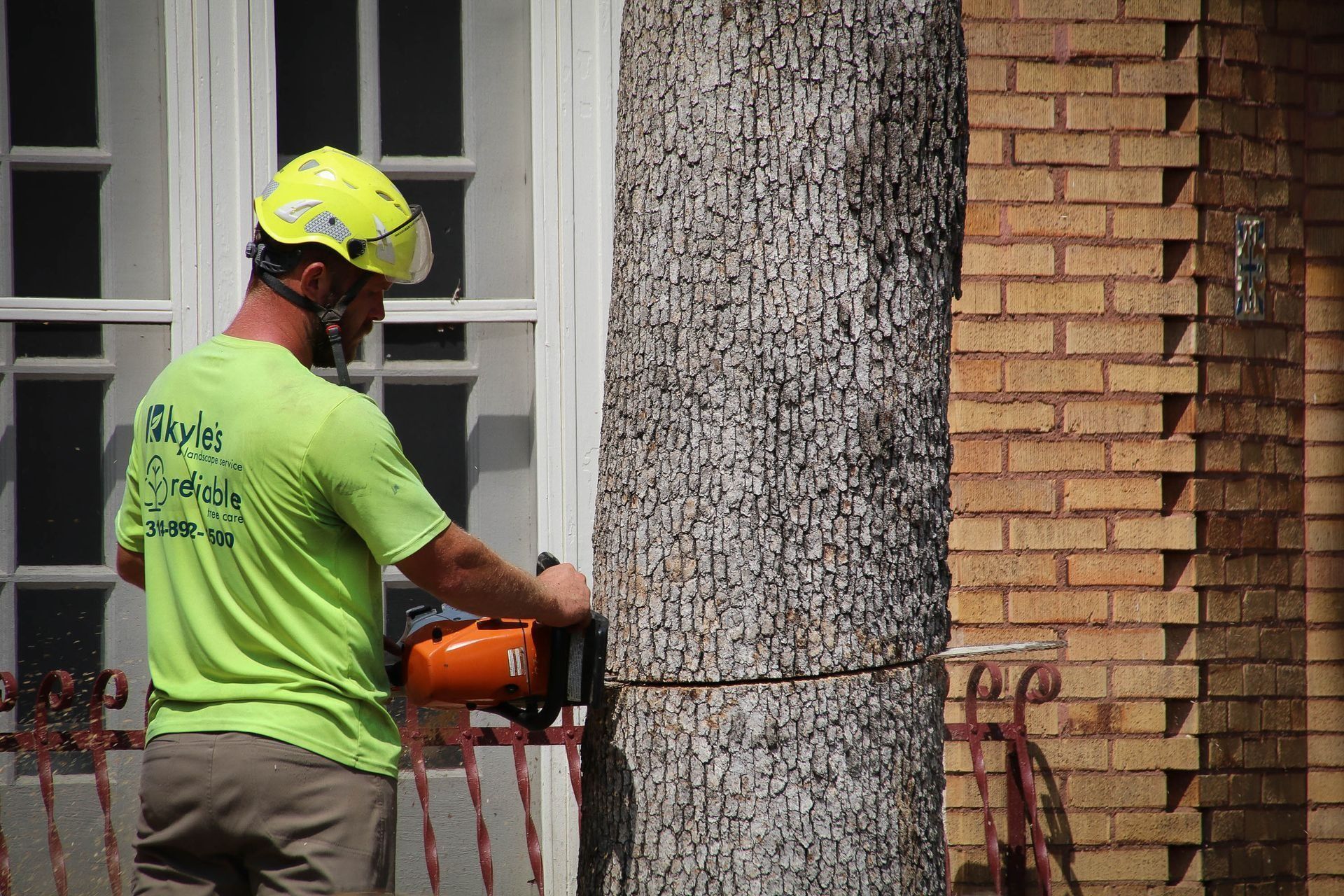 Arborist using a chainsaw on a tree trunk near a brick wall and window. The arborist wears a protective helmet and shirt.