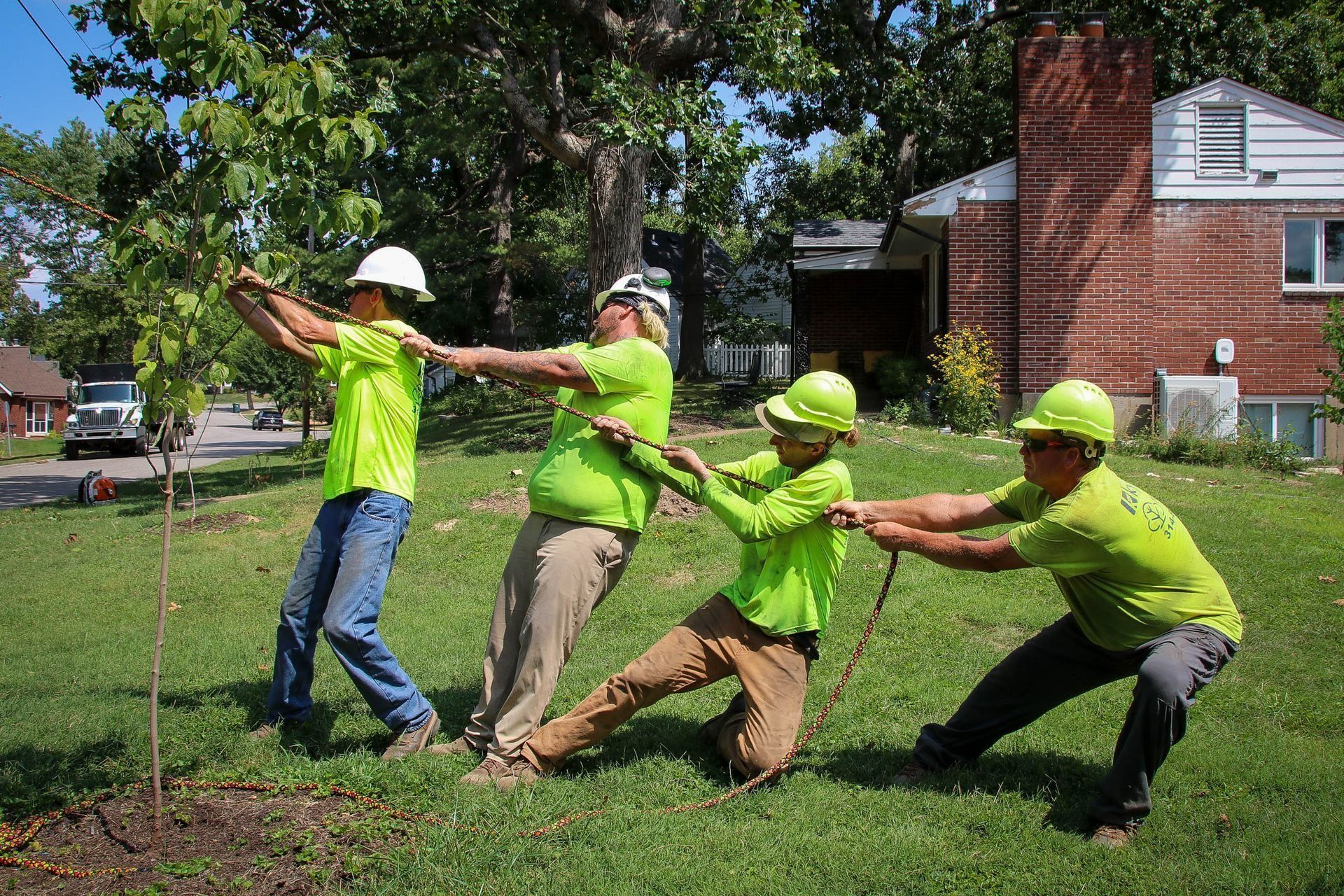Four workers in lime green shirts and hard hats pulling a rope attached to a tree in a grassy yard.