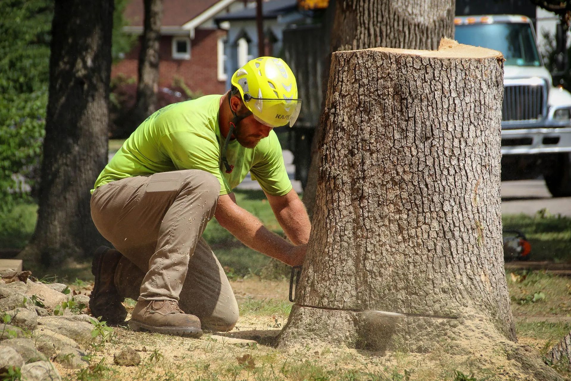 Arborist cuts a tree stump with a chainsaw, wearing a helmet and green shirt.