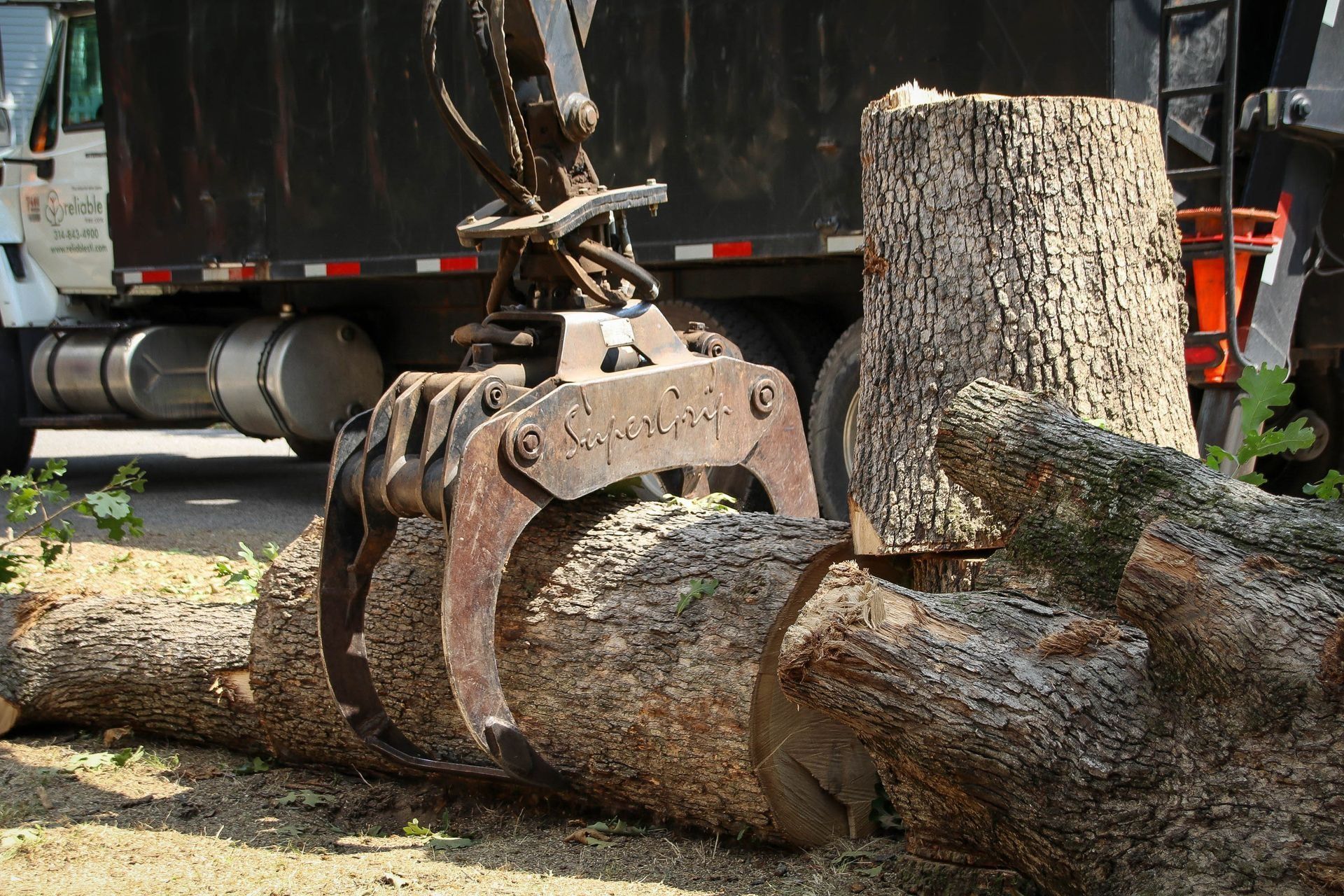 A mechanical claw gripping a tree trunk, positioned near a truck for loading, outdoors.