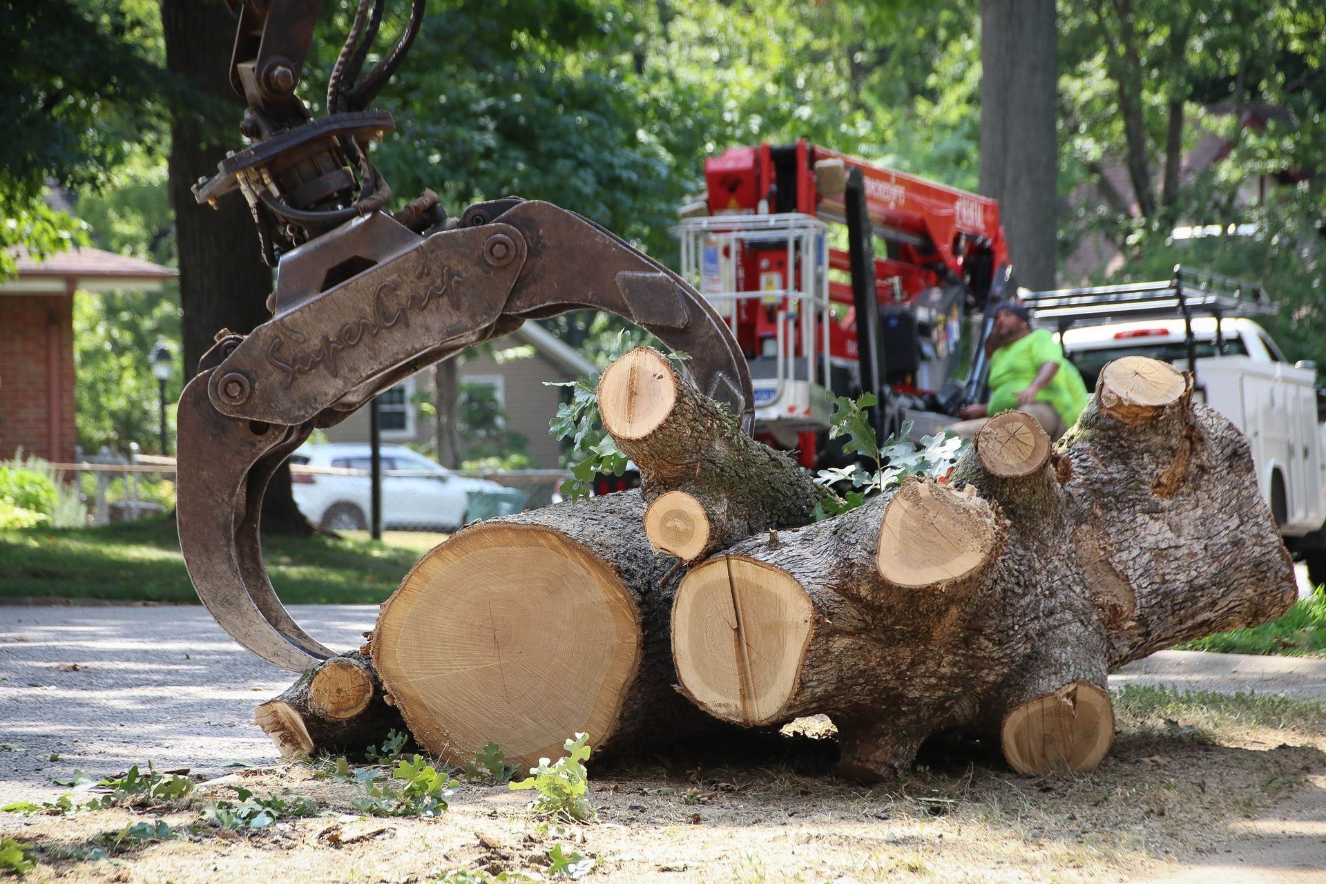 Large tree trunk being held by a mechanical claw; tree service in progress.