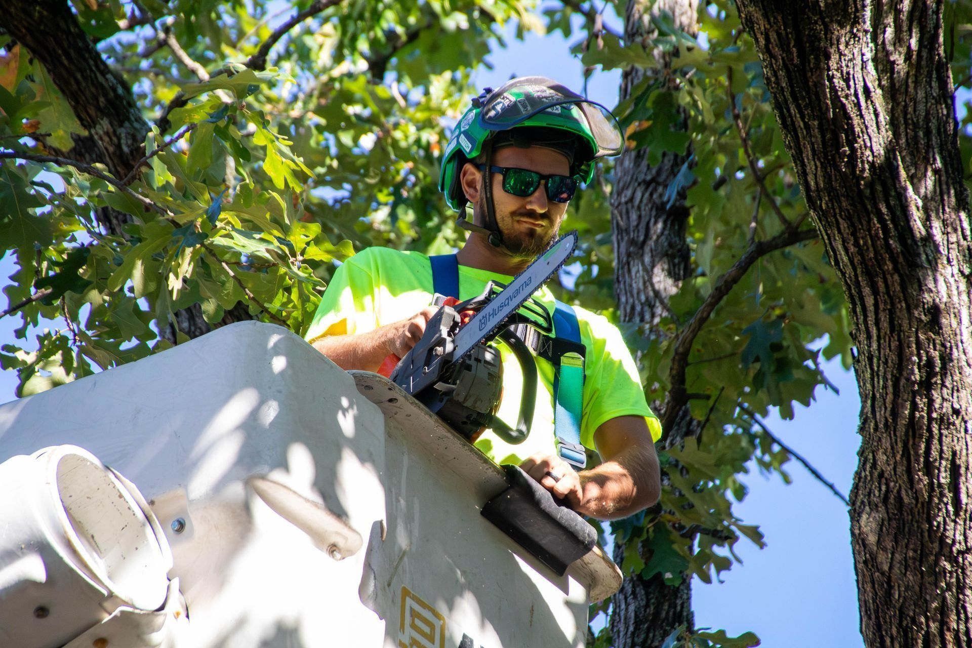 Arborist in lift bucket, wearing safety gear, using a chainsaw to trim a tree.