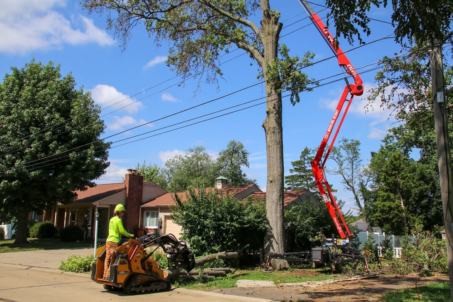 Tree trimming: Arborist in safety vest operates a stump grinder, crane cutting branches near power lines.