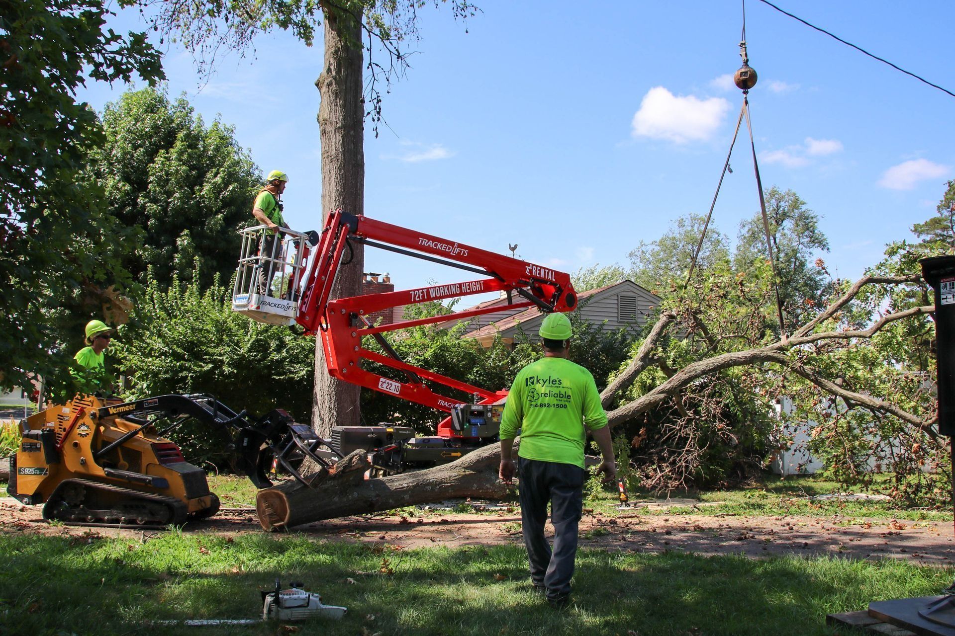 Tree service workers removing a large tree limb using a crane and lift on a sunny day.