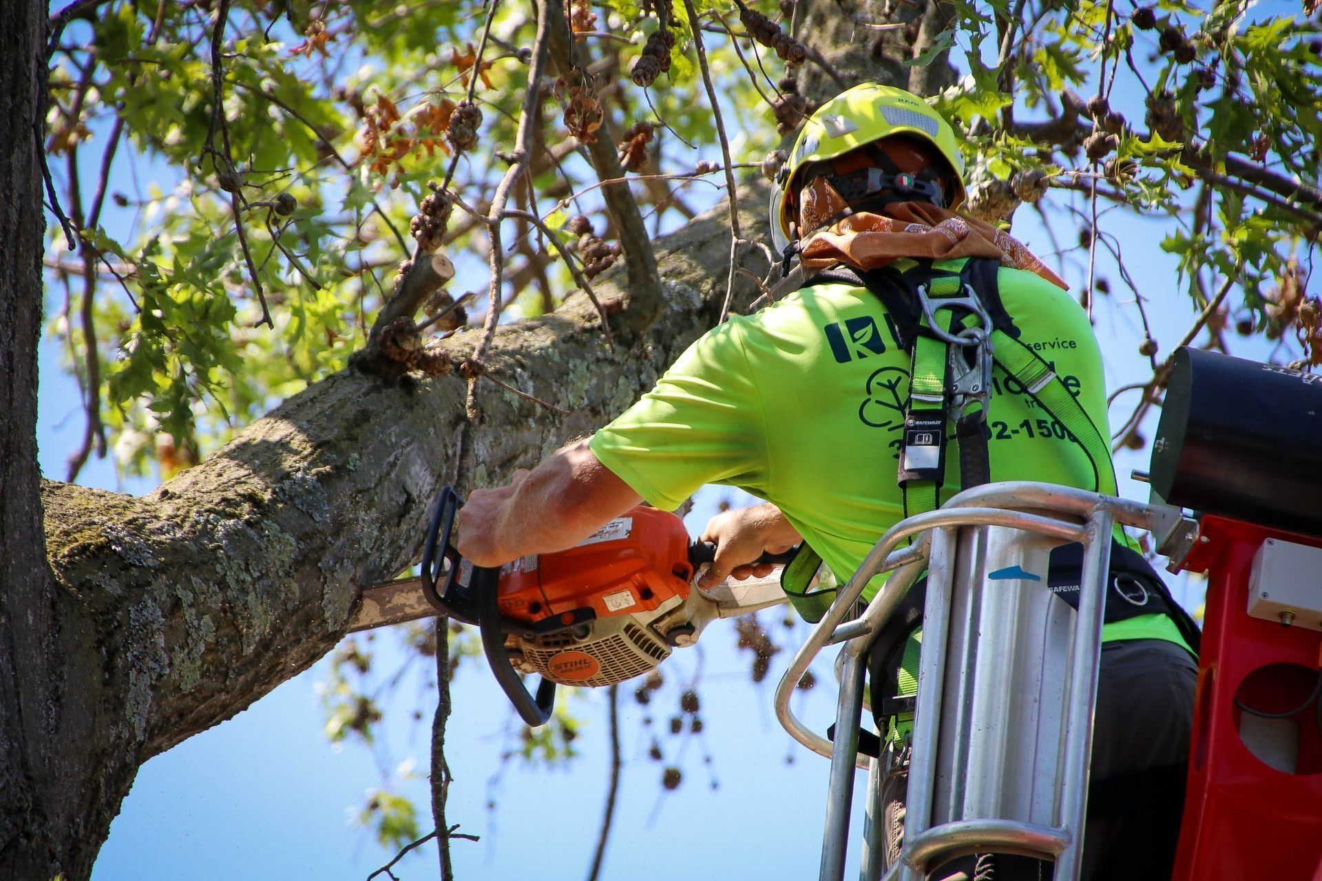 Arborist on a lift cutting a tree branch with a chainsaw, wearing safety gear in sunny conditions.