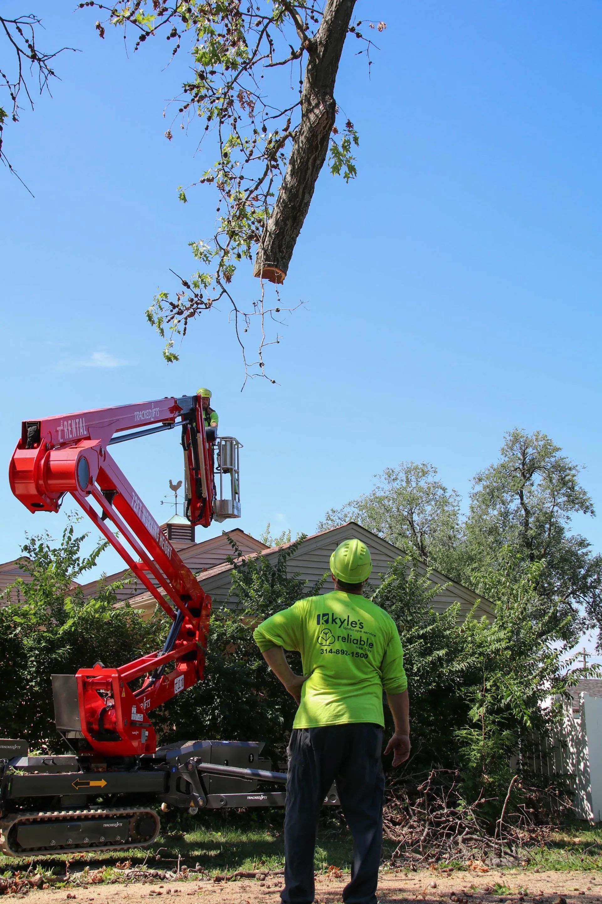 Arborist trimming a tree branch with a lift. He wears a yellow shirt, looking up at the work. Sunny, outdoor setting.