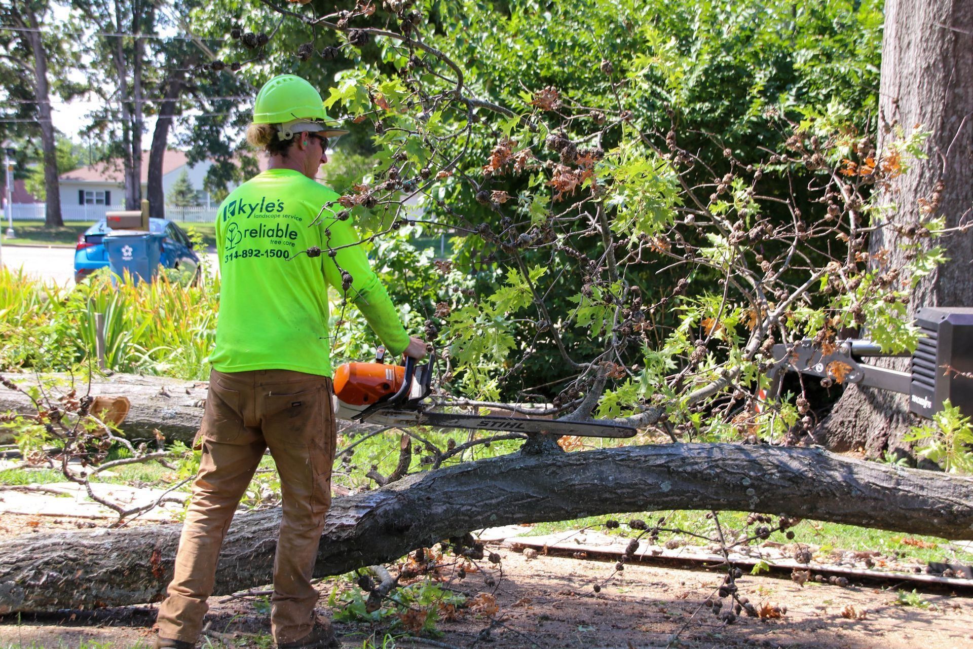 Arborist using a chainsaw on a fallen tree branch; wearing safety gear, outdoors in a yard.
