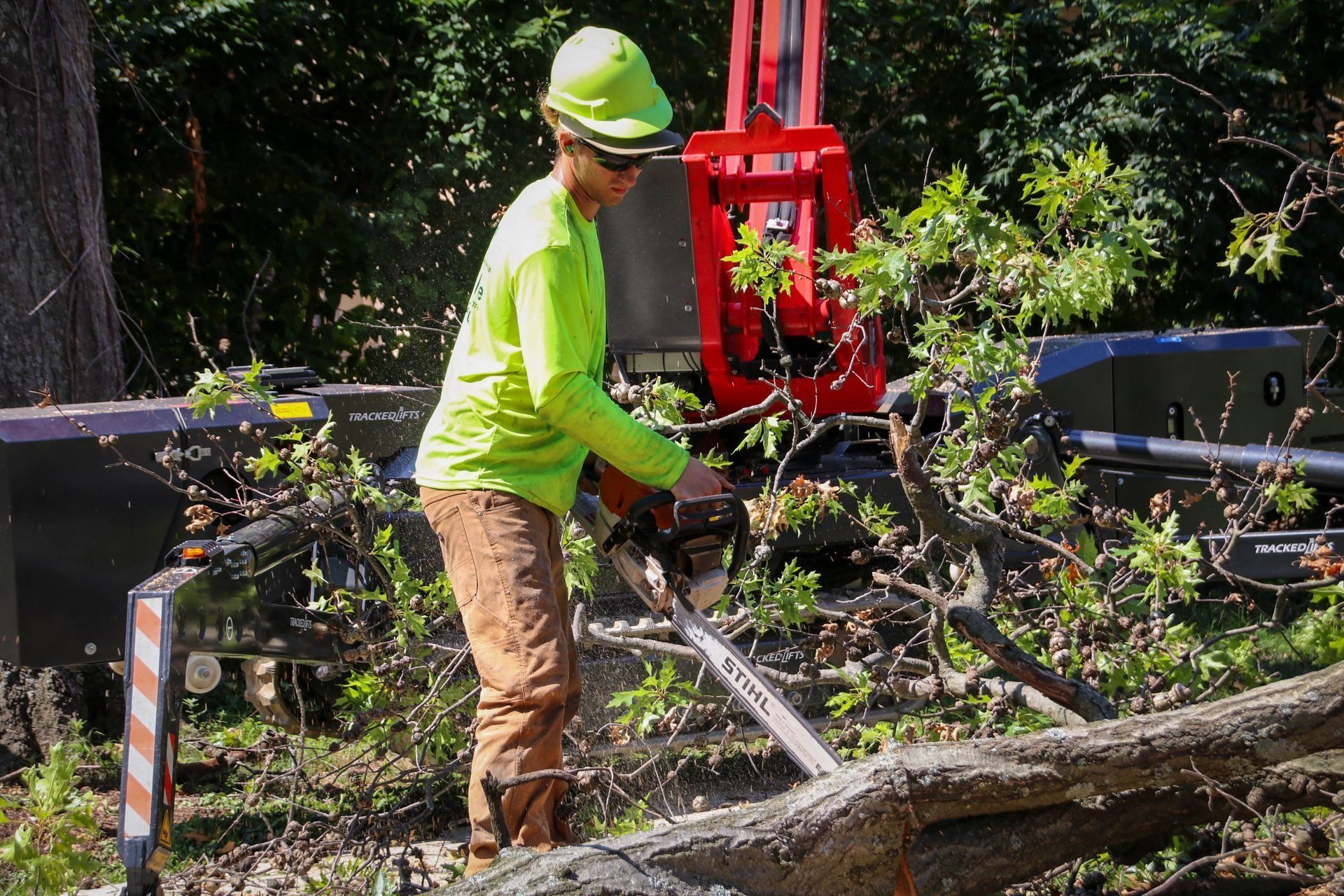 Arborist using a chainsaw on a fallen tree; wears a green shirt, helmet, and brown pants; outdoors in sunlight.