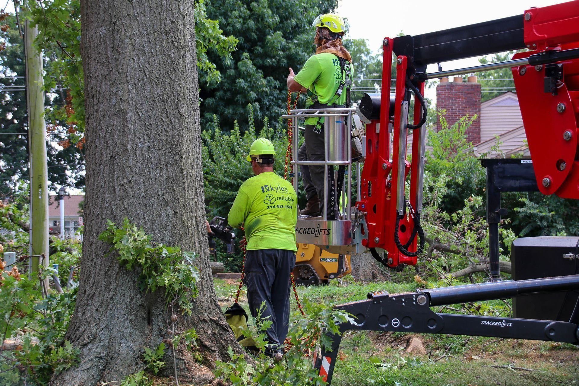 Two tree workers in neon green shirts using a lift to trim a tall tree.