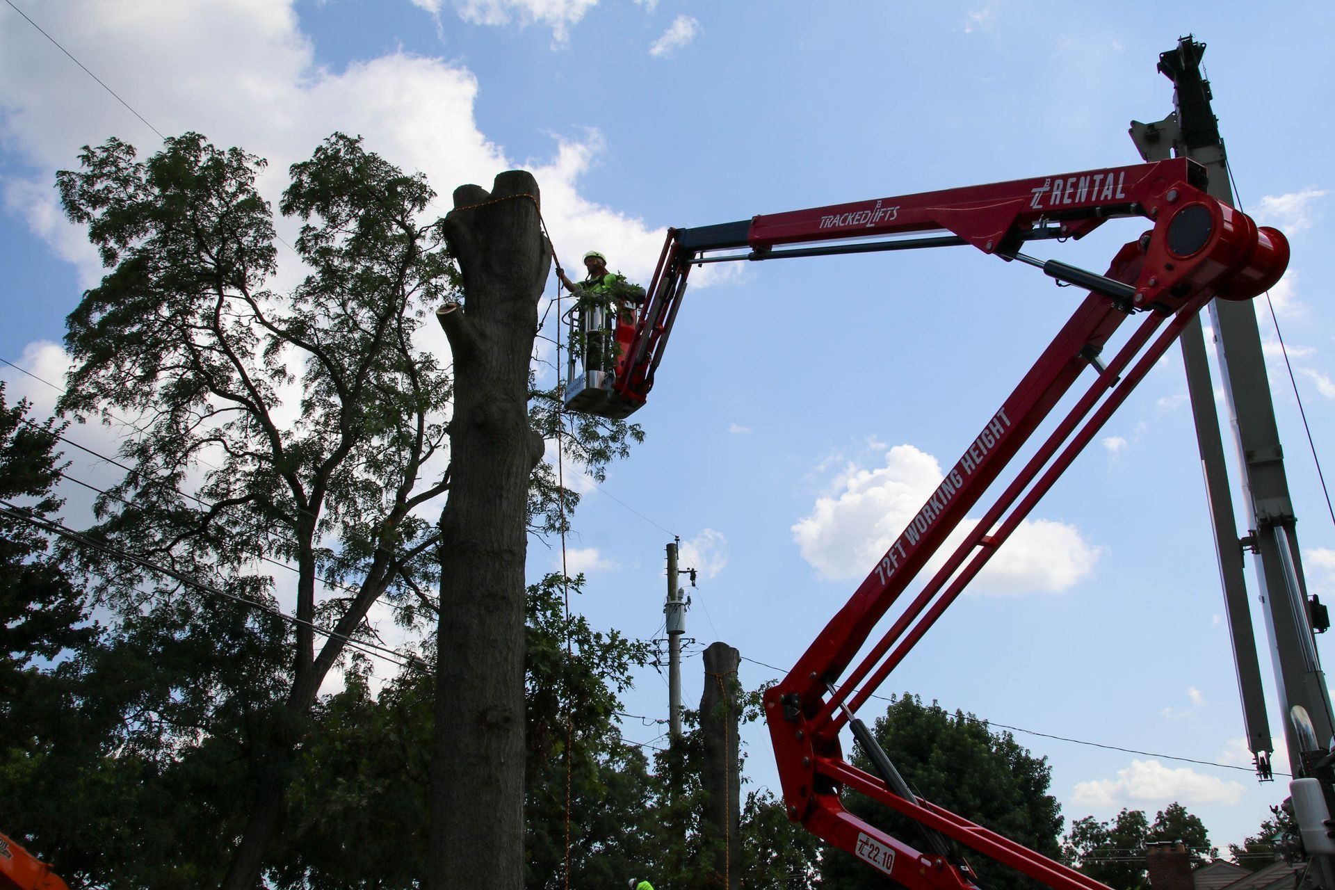A worker in a cherry picker trimming a tree near power lines under a blue sky.