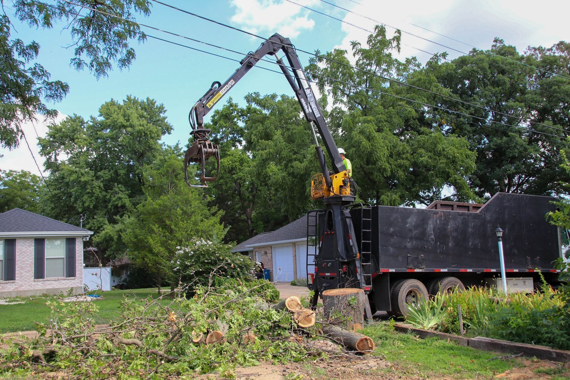 Tree service truck removing a tree near a house. Branches and stump visible. Green foliage, sunny day.