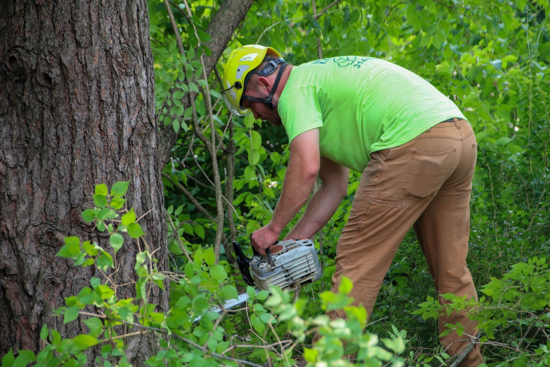 Arborist in a green shirt and helmet uses a chainsaw on a tree trunk in a wooded area.