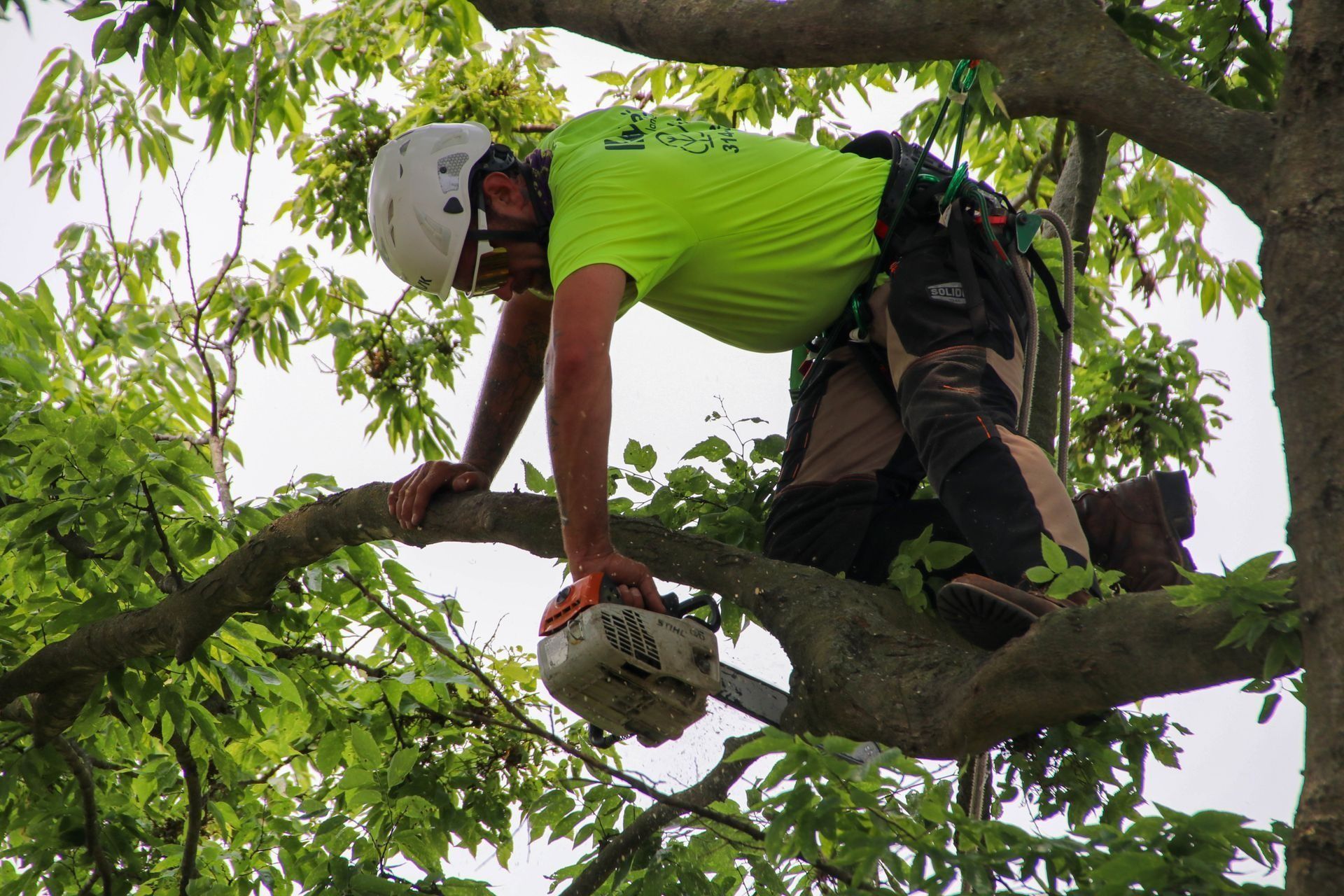 Arborist in a tree, using a chainsaw to cut a branch. Wearing safety gear; green shirt, white helmet.
