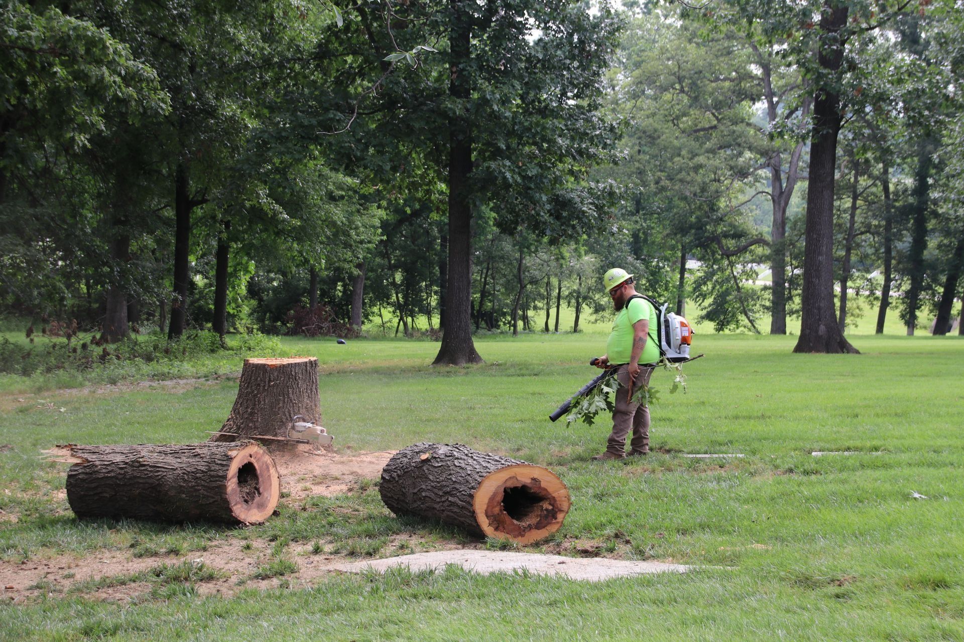 Man blowing debris in a grassy area with cut logs and tree stumps nearby.