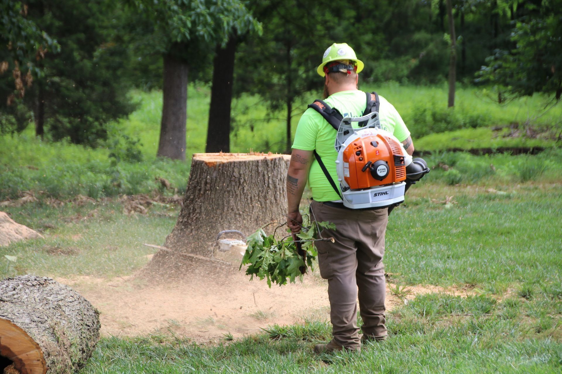 Arborist with backpack blower blowing wood shavings near a tree stump, holding greenery in a grassy area.