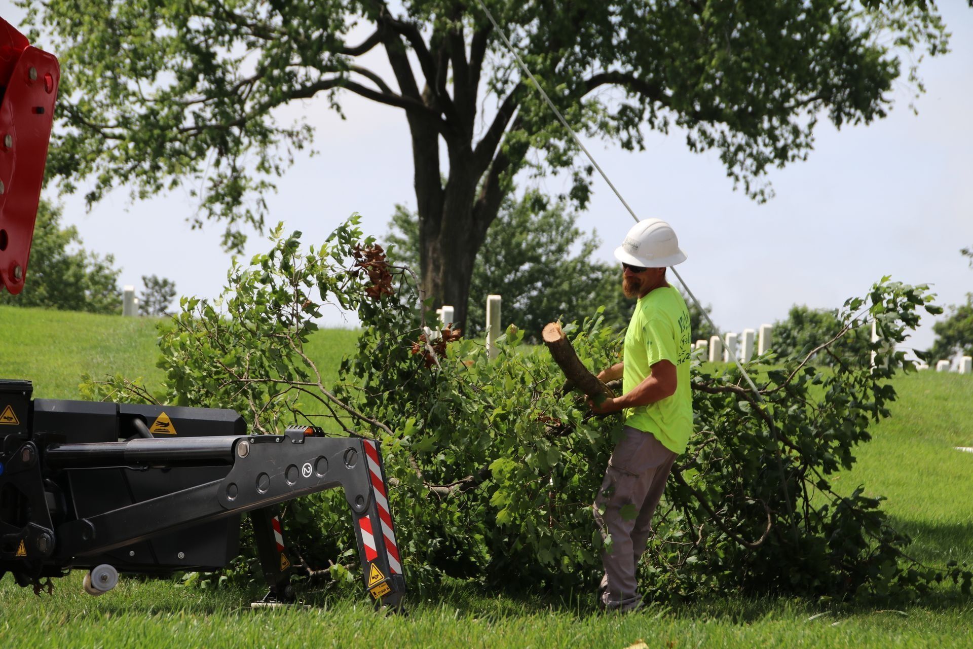 Worker in safety helmet and green shirt feeds brush into a wood chipper near a tree on a grassy field.