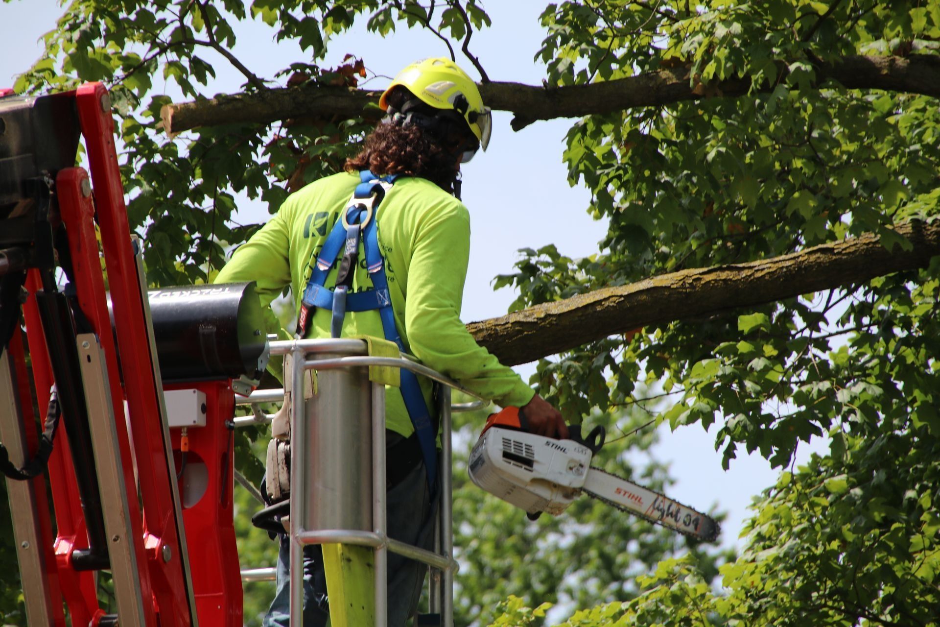 Tree service worker in a lift, using a chainsaw to trim a tree branch; yellow safety gear.