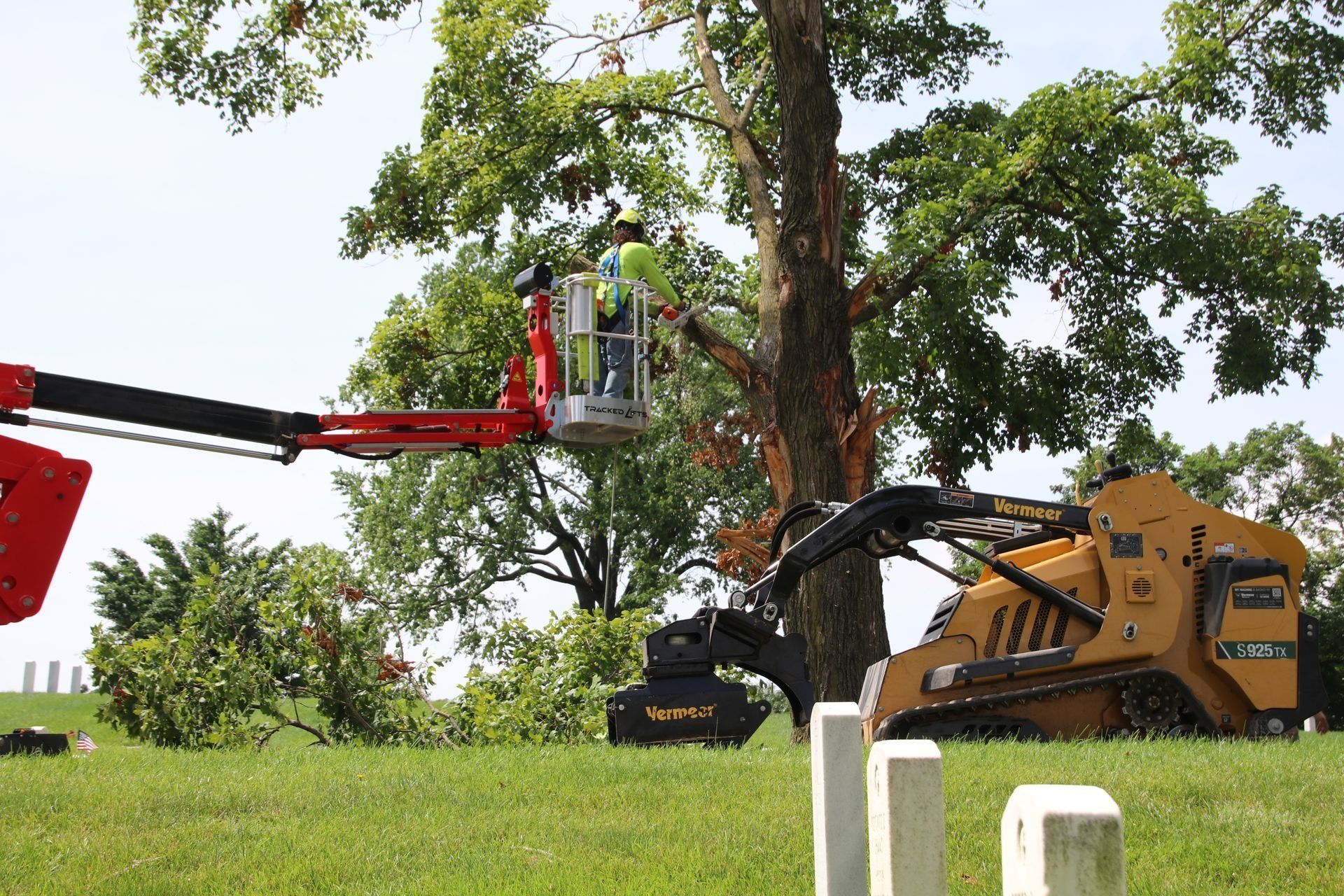 Man in lift trimming a tree; skid steer nearby on a grassy hill; sunny day.