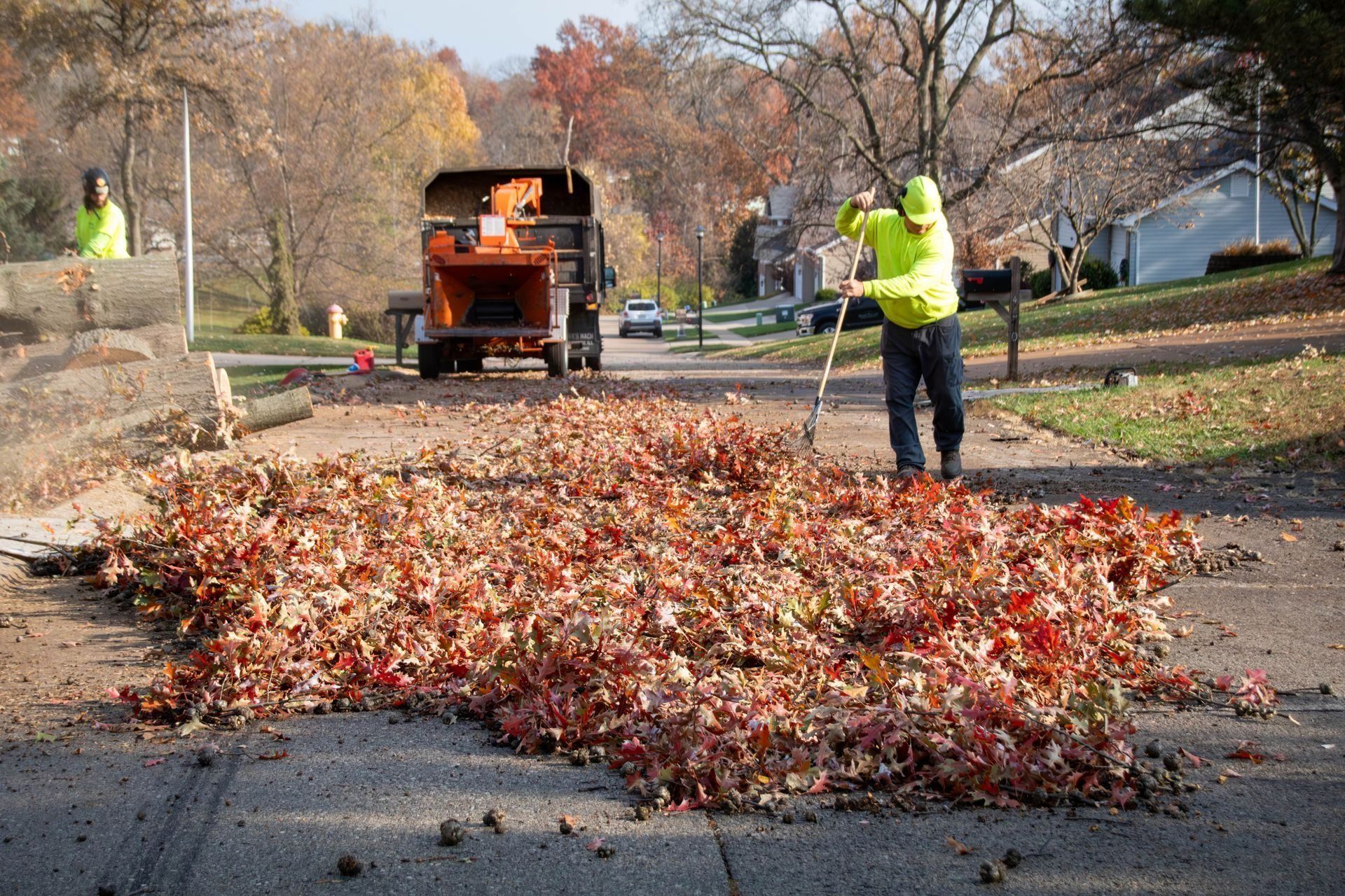 Man raking leaves on road, near a leaf shredder, in a residential area.