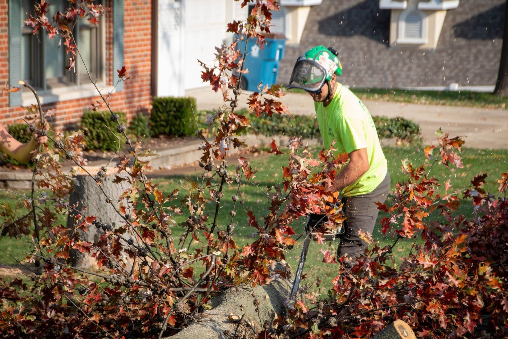Arborist using a chainsaw on tree branches in front of a house. Person wearing safety gear and a green shirt.