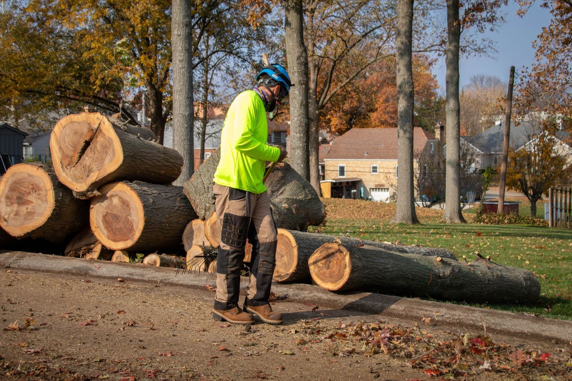 Arborist standing near felled logs in a yard; wearing safety gear and neon green shirt.
