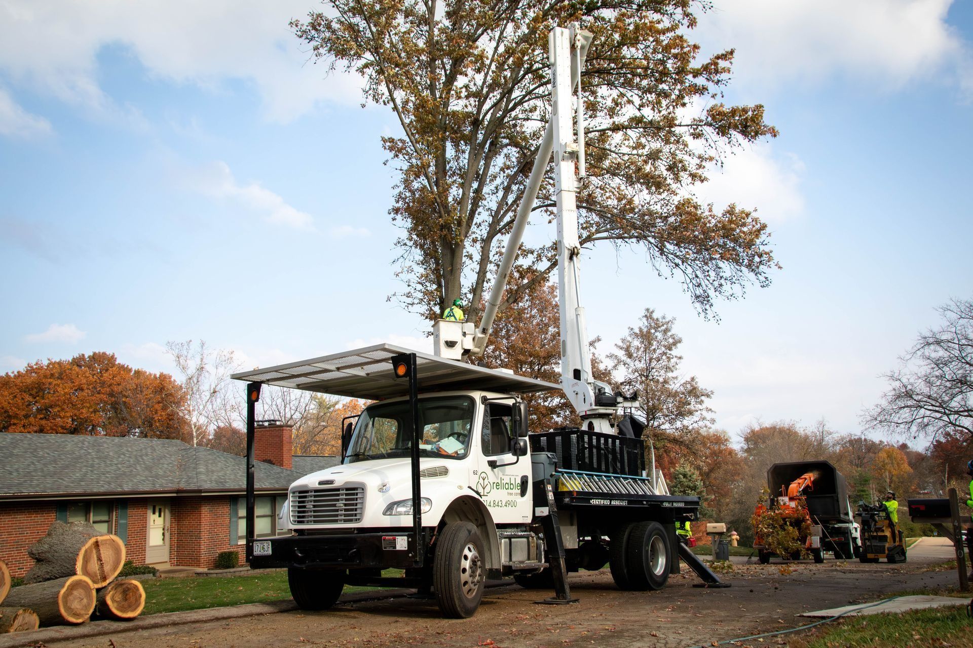 White tree service truck with extended lift arm trimming a large tree.